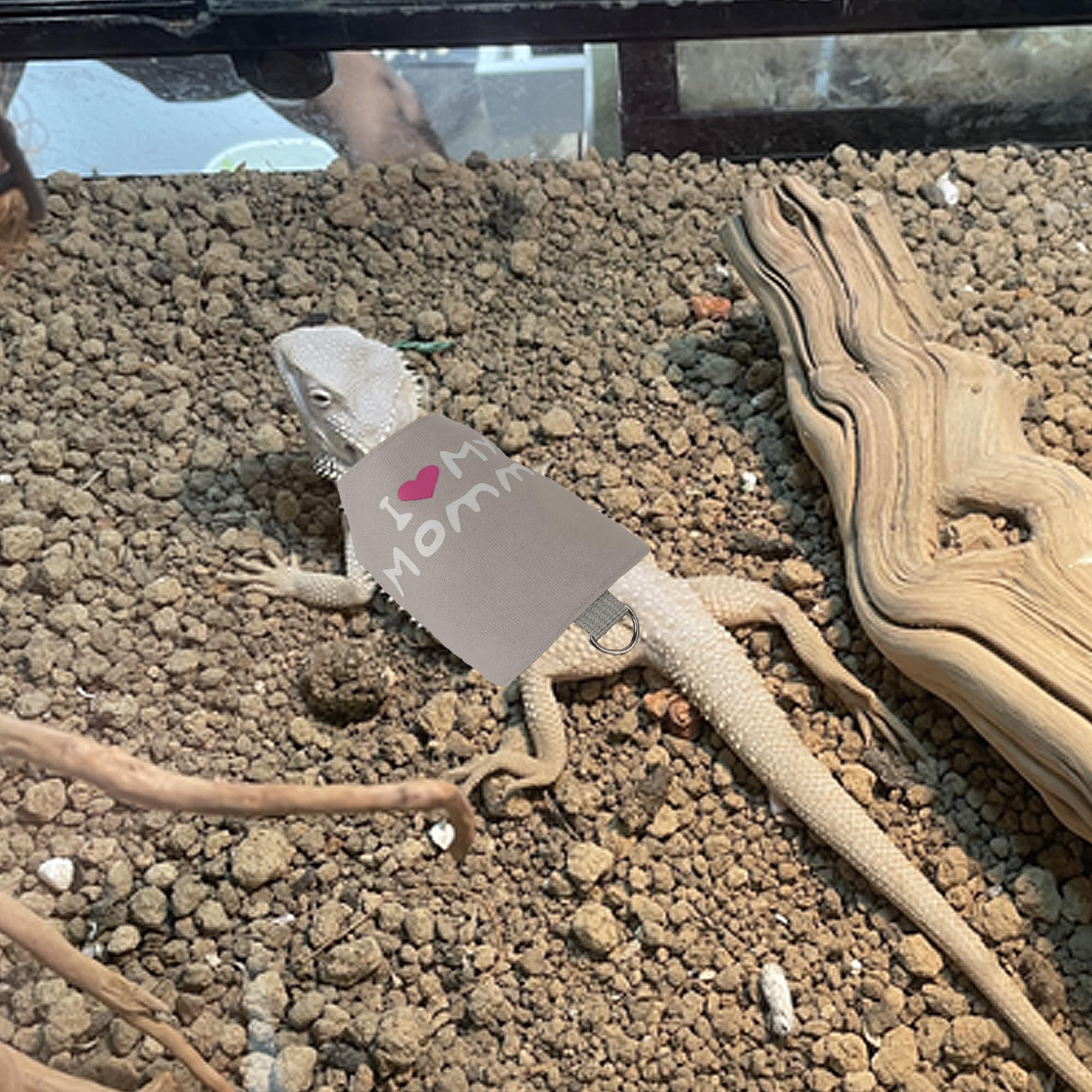 Adoggygo Mothers Day Bearded Dragon Harness Leash Set, Lizard Clothe Costume Adjustable Reptile Harness With 5Ft Leash For Beard