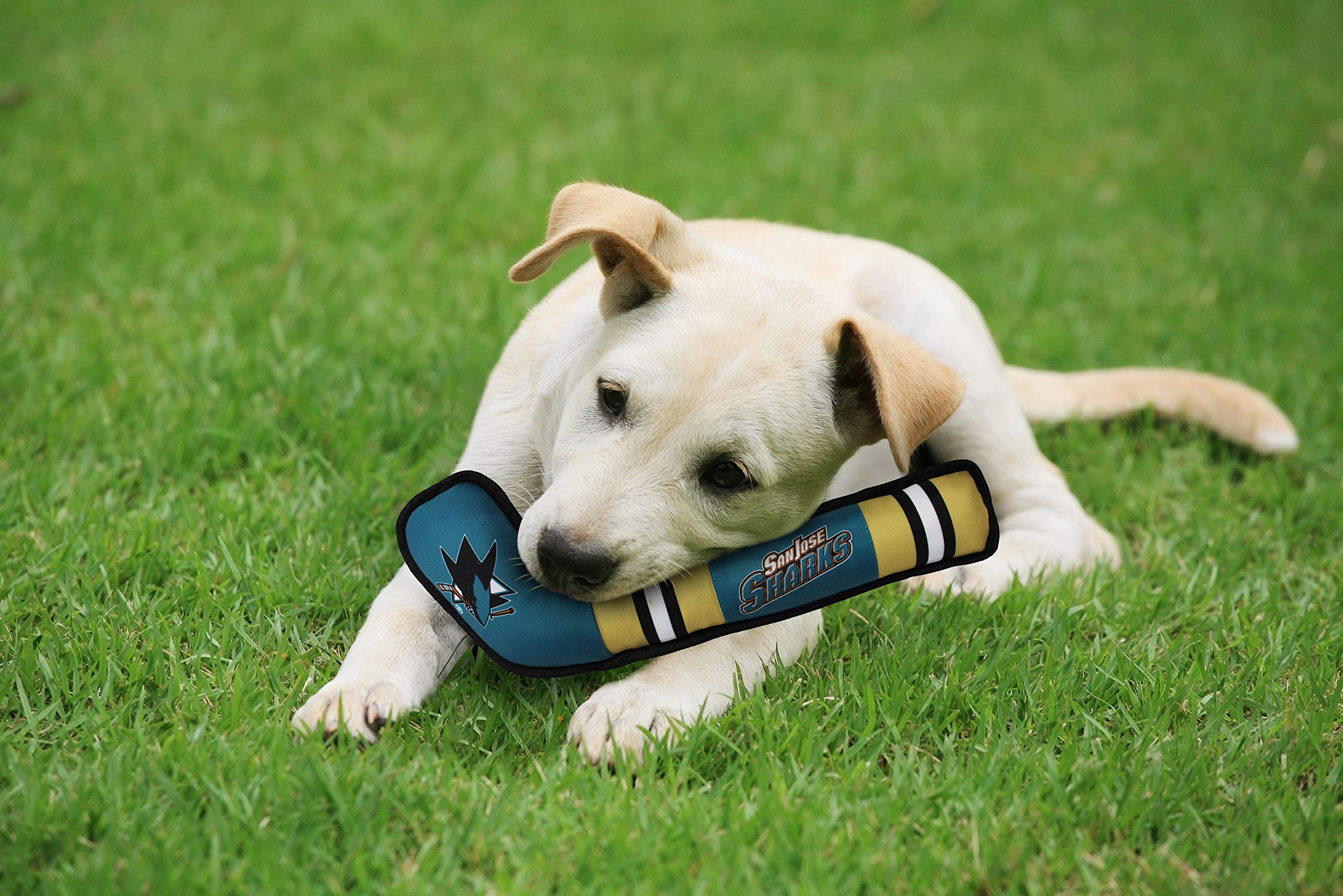Pets First Nhl San Jose Sharks Stick Toy For Dogs & Cats. Play Hockey With Your Pet With This Licensed Dog Tough Toy Reward!