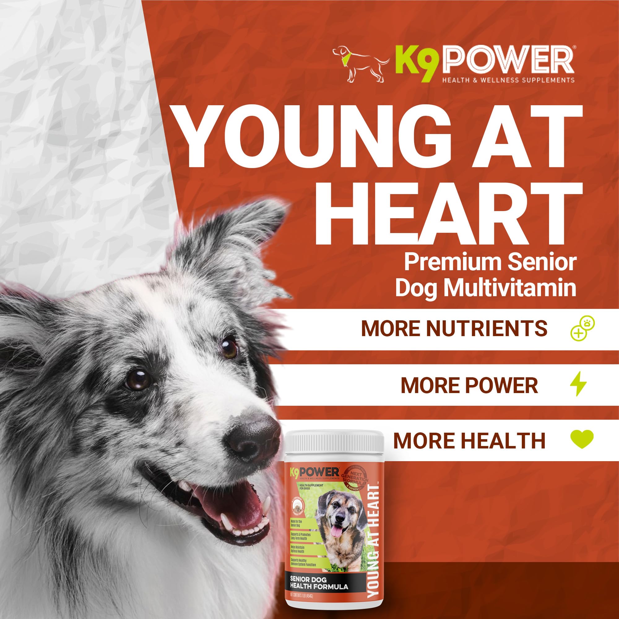 K9 Power Young at Heart Senior Dog Multivitamin 1 lb - Advanced Supplement for Seniors - Supports Brain, Heart, Vision, Joint He