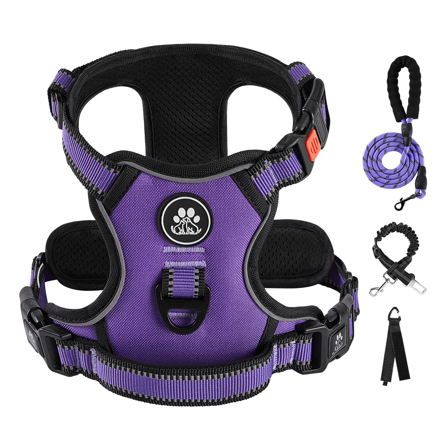 Ivy&Lane No Pull Dog Harness For Small Dogs, Dog Vest Harness With Leash, Safety Belt And Storage Strap, Fully Adjustable Harnes