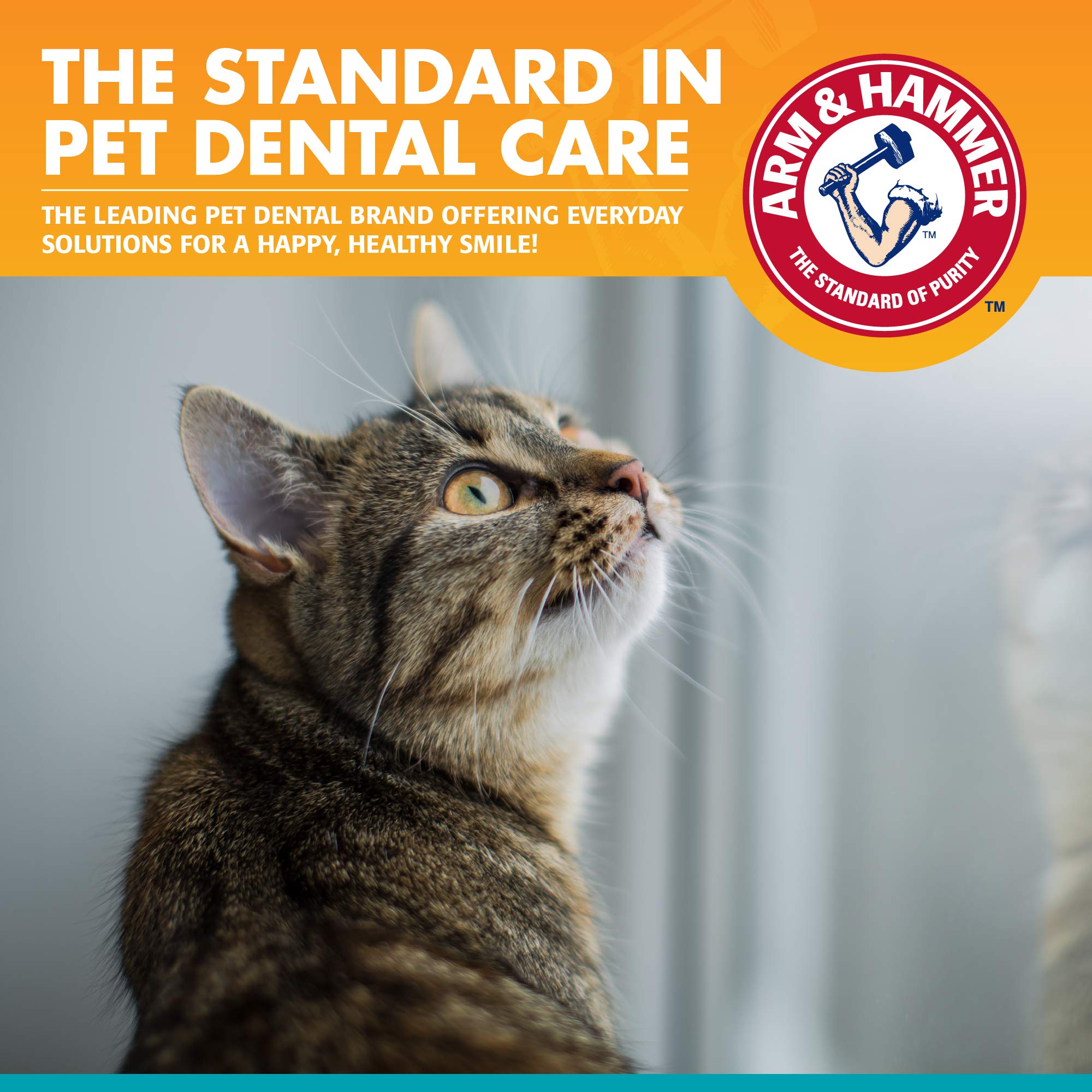 Arm & Hammer for Pets Dental Kit for Cats | Eliminates Bad Breath | 3 Piece Set Includes Cat Toothpaste, Cat Toothbrush & Cat Fi