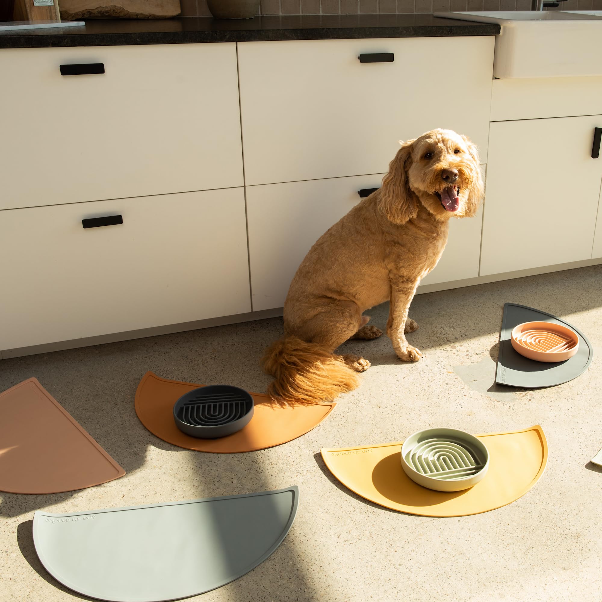 Should We Go? Slow Feeder Dog Bowl, Silicone Puzzle Mat, Medium Size, Honey Color