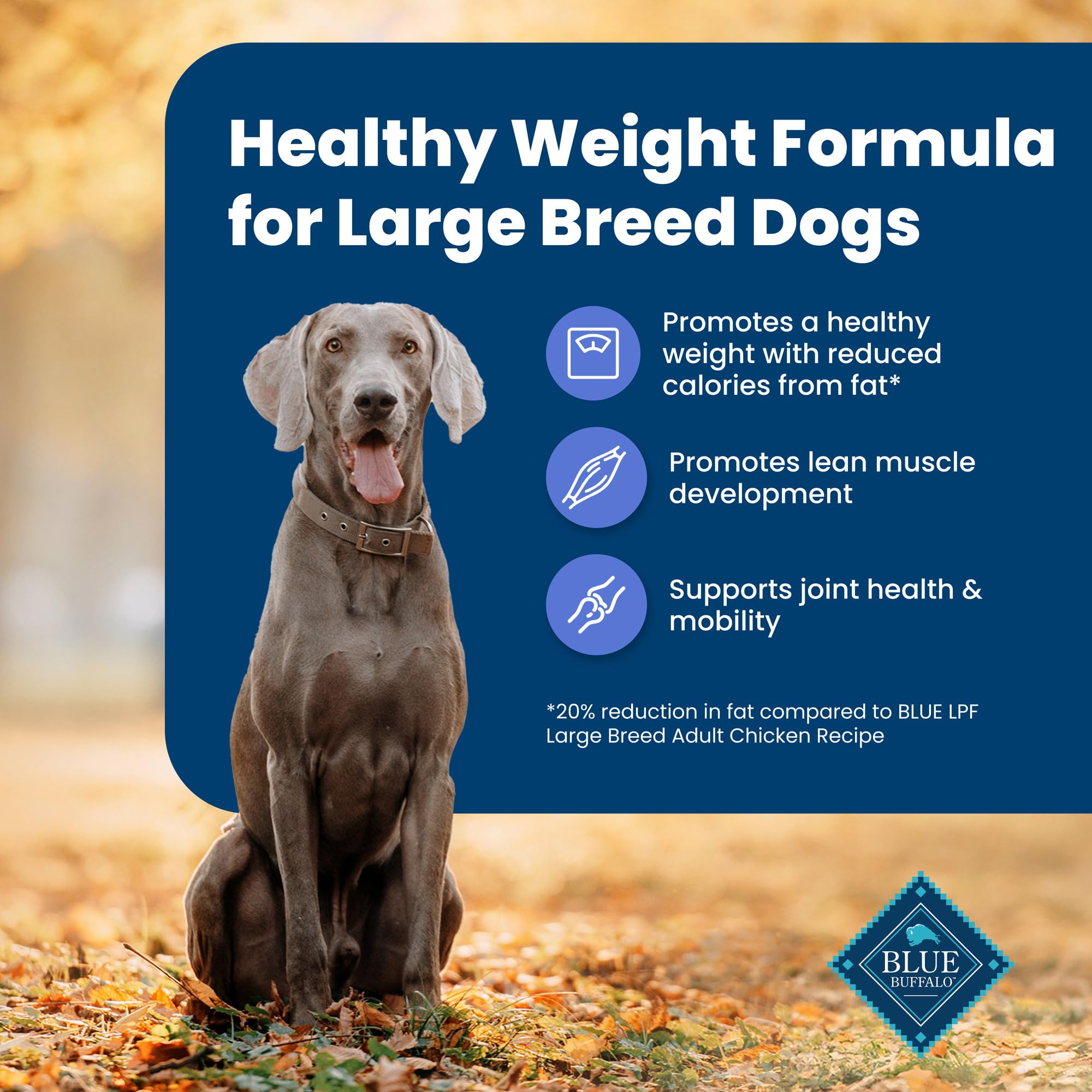 Blue Buffalo Life Protection Formula Healthy Weight Large Breed Adult Dry Dog Food for Weight Control, Made with Natural Ingredi