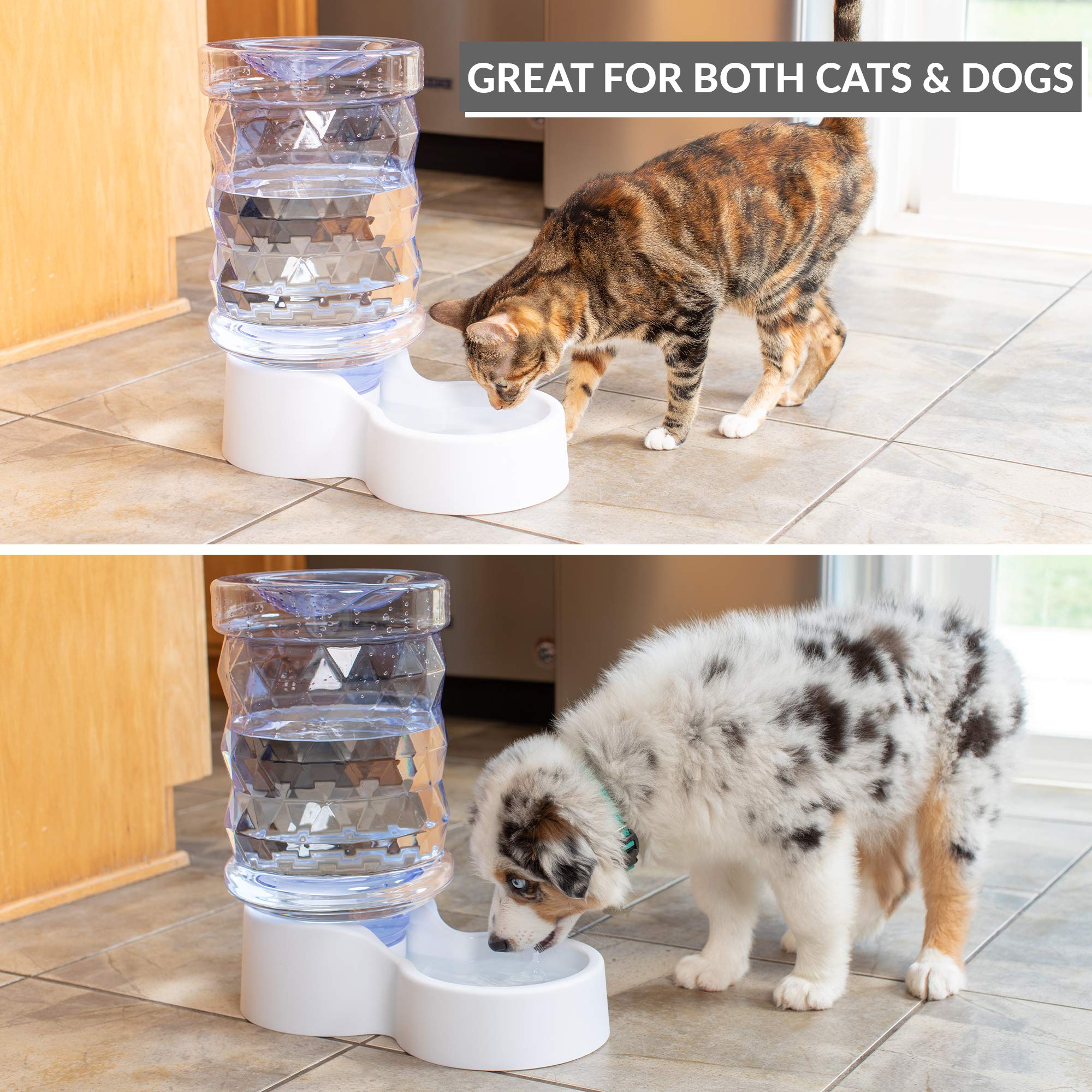 Petfusion H2O Gravity Pet Water Dispenser. Durable 2.5 Gallon Water Feeder. Automatic Water Station For Cats & Small, Medium, La