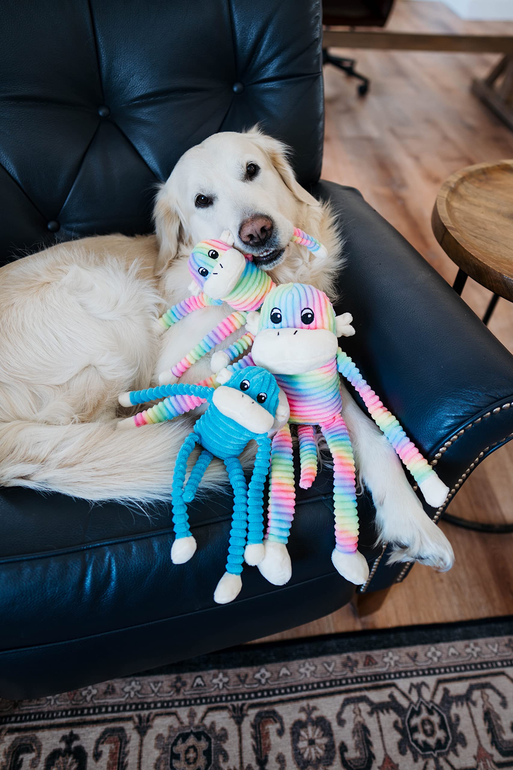 Zippypaws - Spencer The Crinkle Monkey, Colorful Dog Toy With Squeakers, Plush Dog Toys For Aggressive Chewers, Summer Dog Toys, Dog Pride Accessories