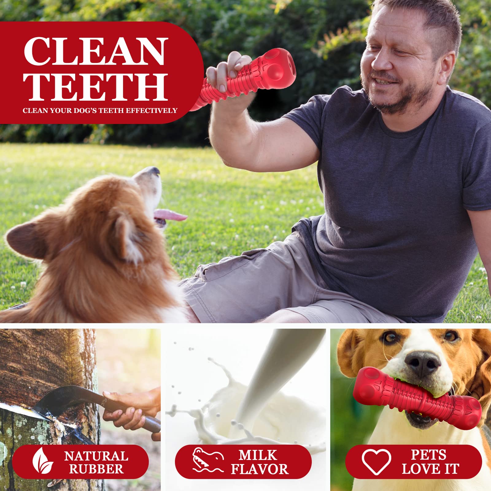 ZIKATON Dog Squeaky Toys for Small Dogs, Durable Natural Rubber, Tough Chew Toys, Red, Ideal for Aggressive Chewers