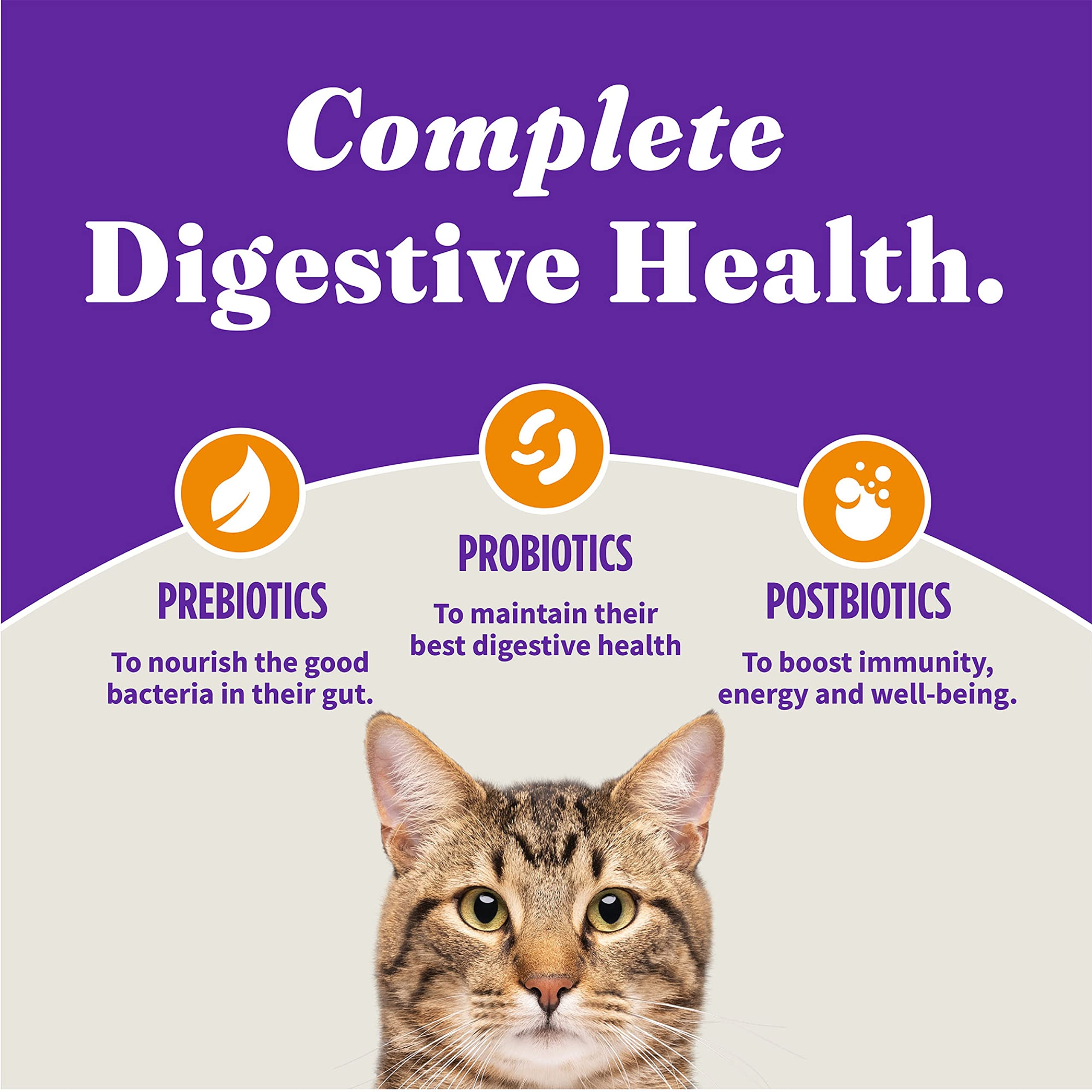 Halo Holistic Cage Free Chicken Cat Food, Grain Free Dry Cat Food, For Healthy Weight Support, Kibble for Indoor Cats, 10 lb Bag