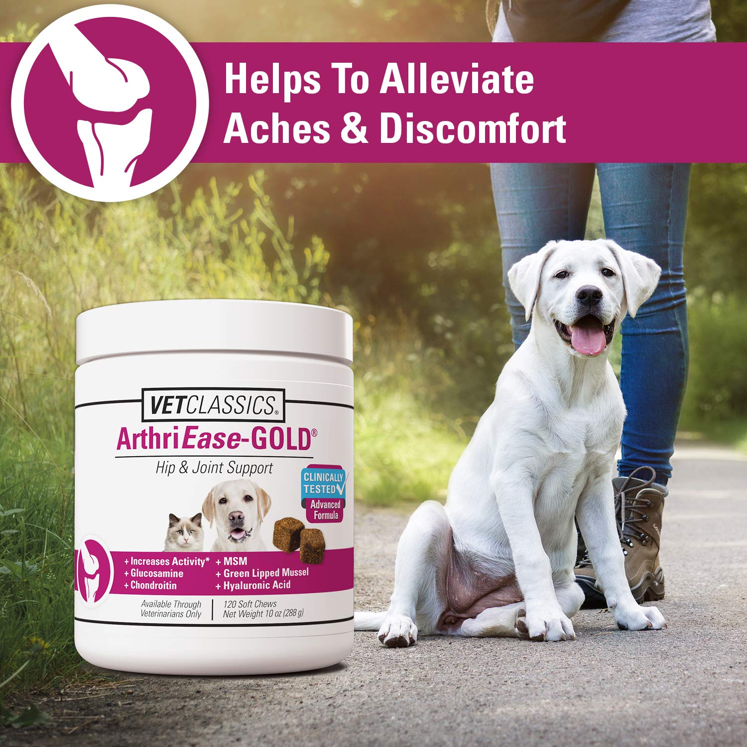 Vet Classics ArthriEASE-Gold Advanced Joint Support for Dogs, Cats, - Supports Pet Flexibility, Discomfort - Helps Improve Dog J