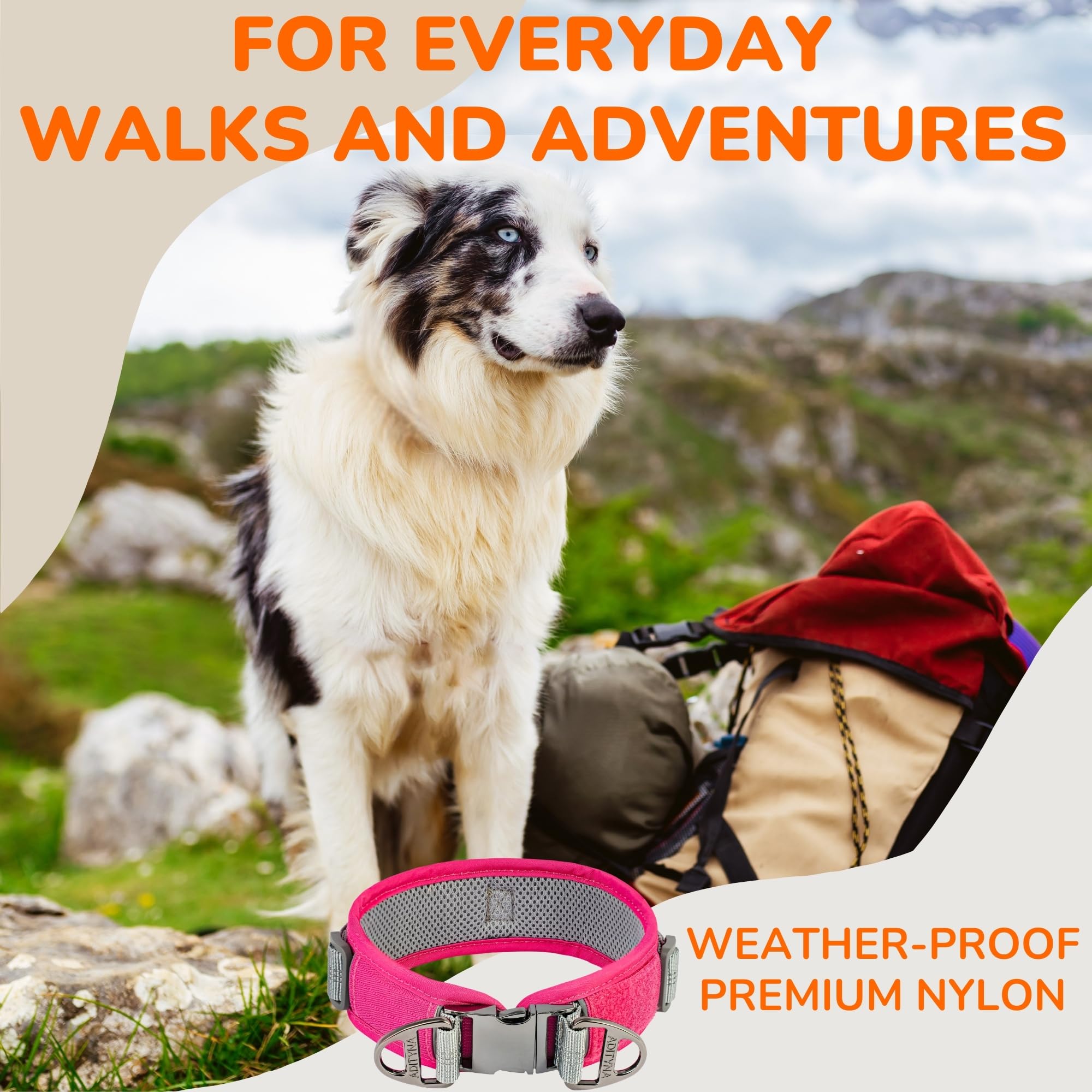 Durable 2-Inch Airttag Dog Collar For Medium Dogs - Reflective, Heavy-Duty Metal Buckle, Comfortable Mesh Lining, Includes Patch