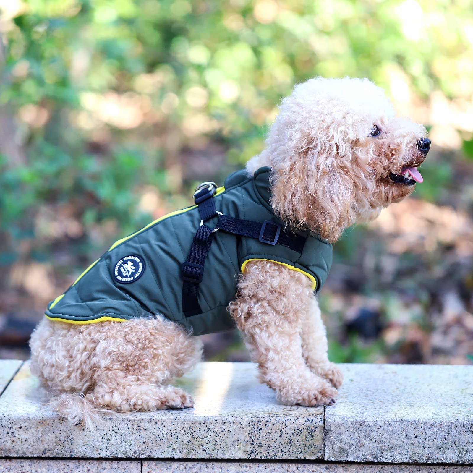 Norbi Dog Coat - Winter Jacket With Built-In Harness, Adjustable Warm Dog Coats For Small, Medium, Large Dogs - Cold Weather Pro