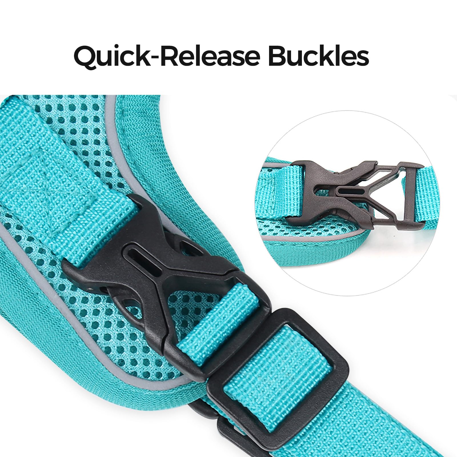 pangdi Cat Harness and Leash Set, Escape Proof, Large, Turquoise, Nylon