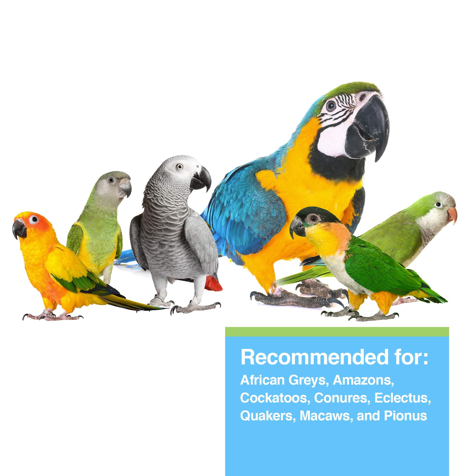 Hari Tropican Bird Food, Hagen Parrot Food with Peanuts & Sunflower Seeds, Parrot Granules, High Performance 4 mm, 25 lb Bag