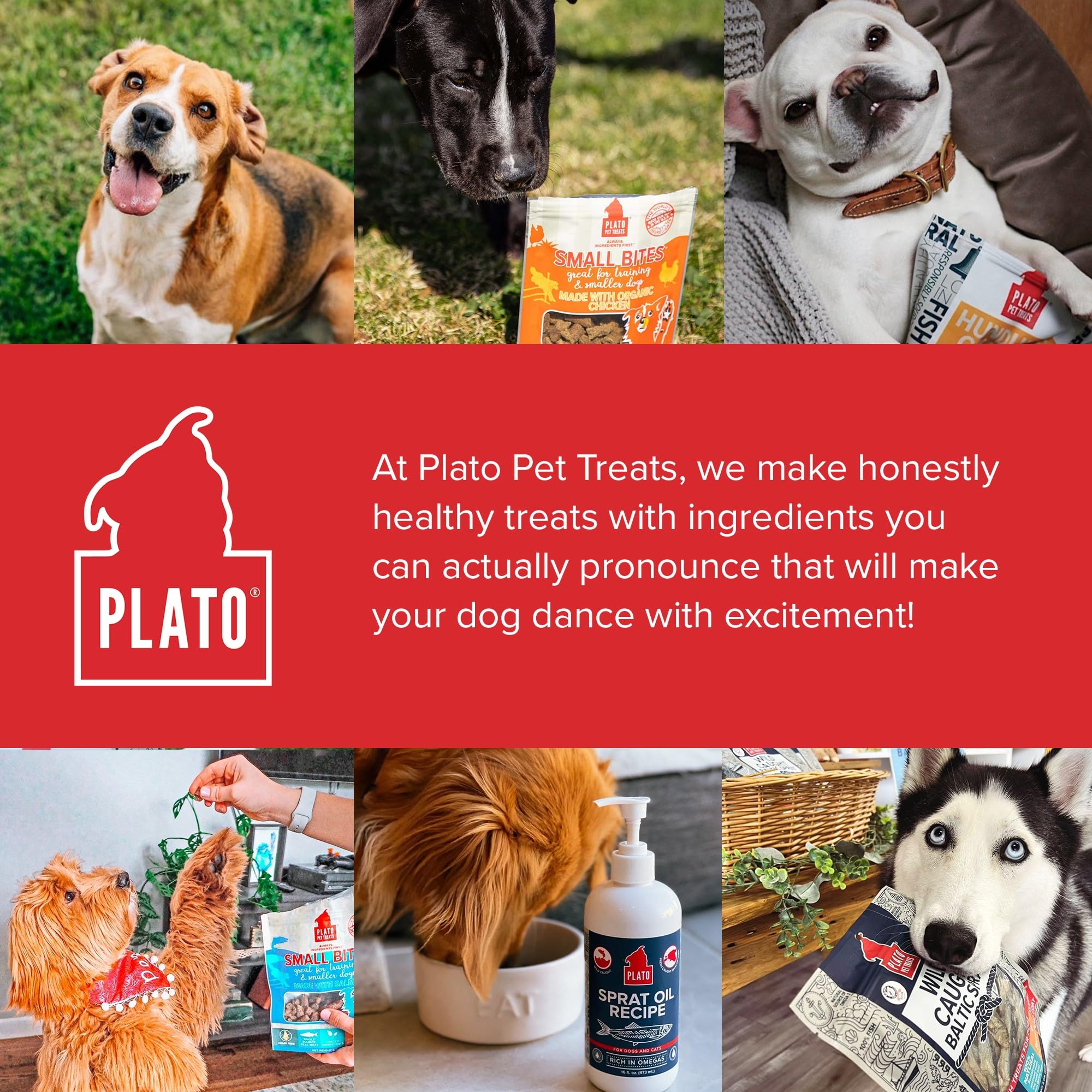 PLATO Thinkers Chicken 18oz, Natural (850002221565)