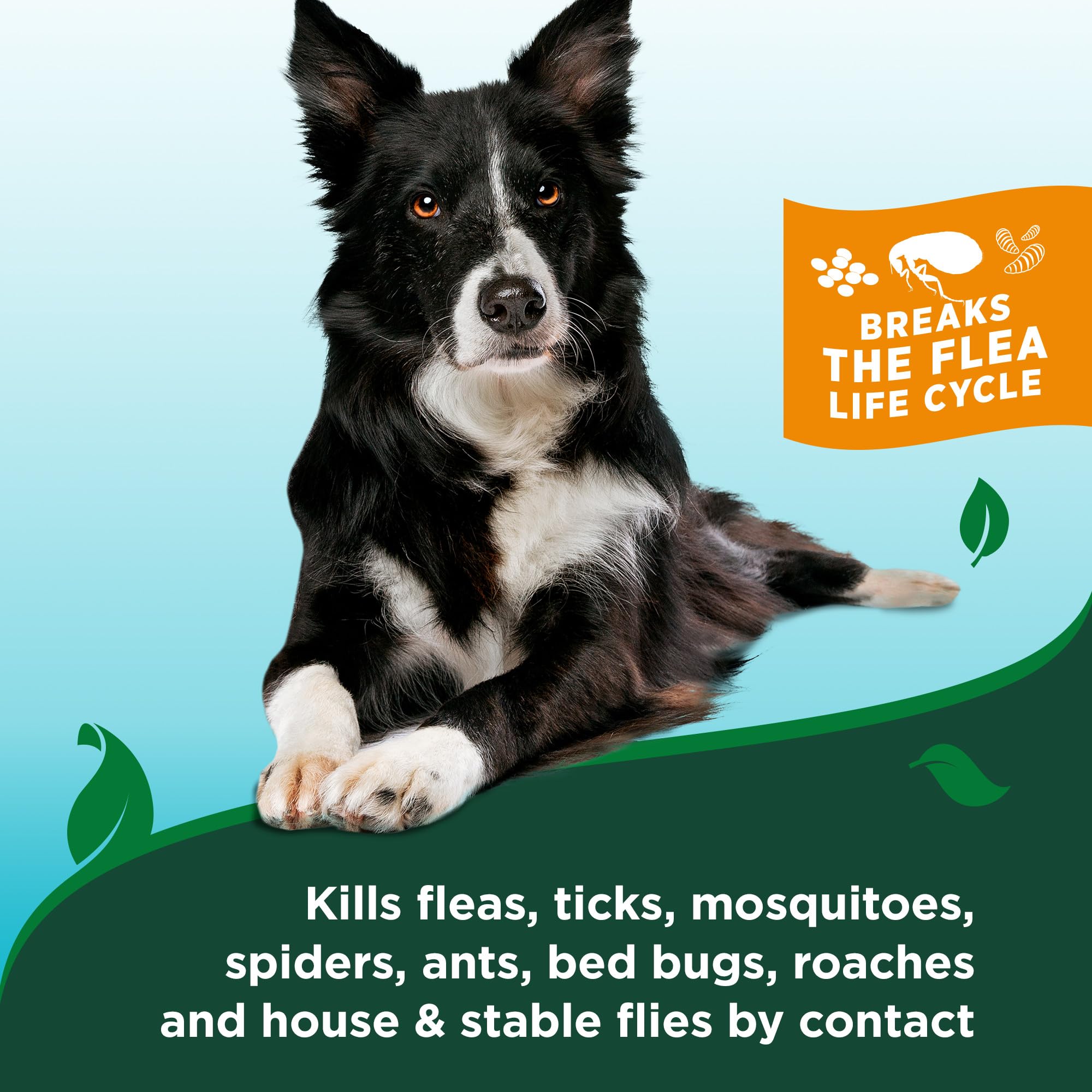 Vets Best Flea & Tick Waterless Bath for Dogs - Dog Waterless Bath - Kills Fleas & Tick - Natural Flea and Tick Prevention - Ki