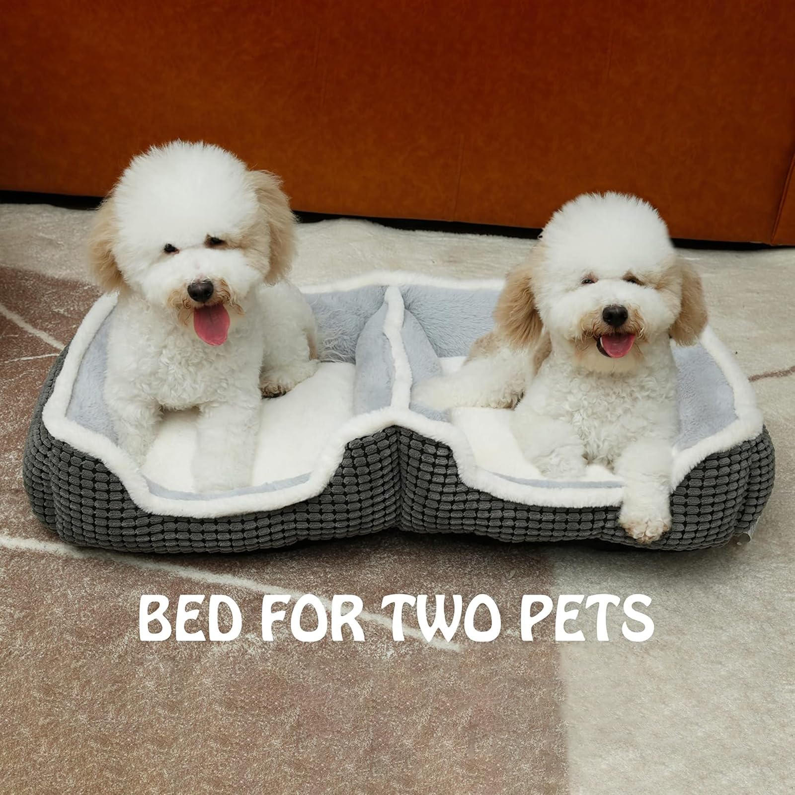 Dog Beds For Two Small Dogs, Double Cat Beds For Indoor Cats,Washabel Super Soft Durable Kitten Bed And Puppy Bed,?nti-Slip & Water-Resistant Bottom,Luxury Rectangle Grey Pet Bed