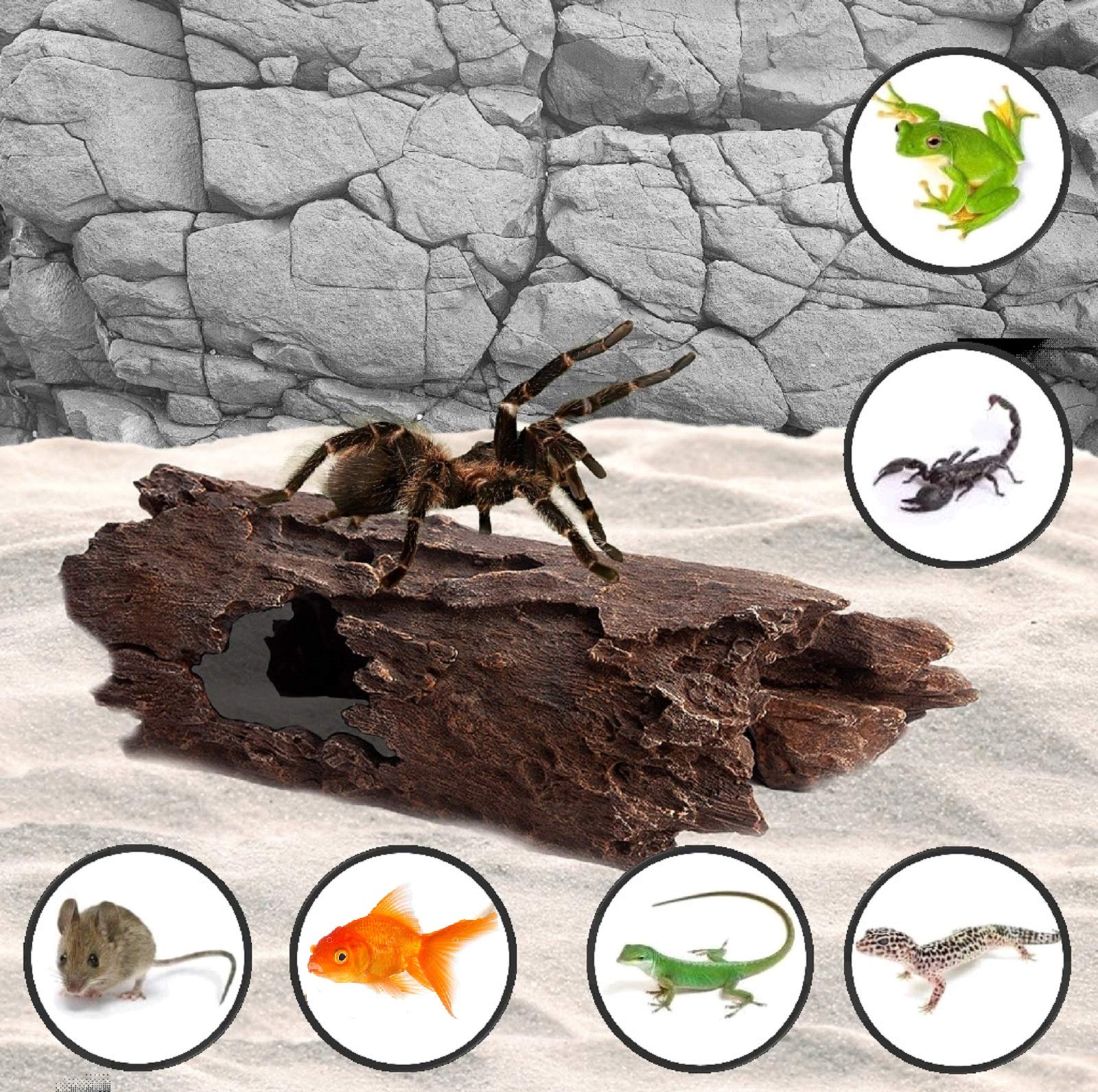 Orchid Valley Reptile Hide, Fish Tank Accessories. Medium 10'' Hollow Log For Aquarium, Lizard Hide Tank Decoration, Natural Loo