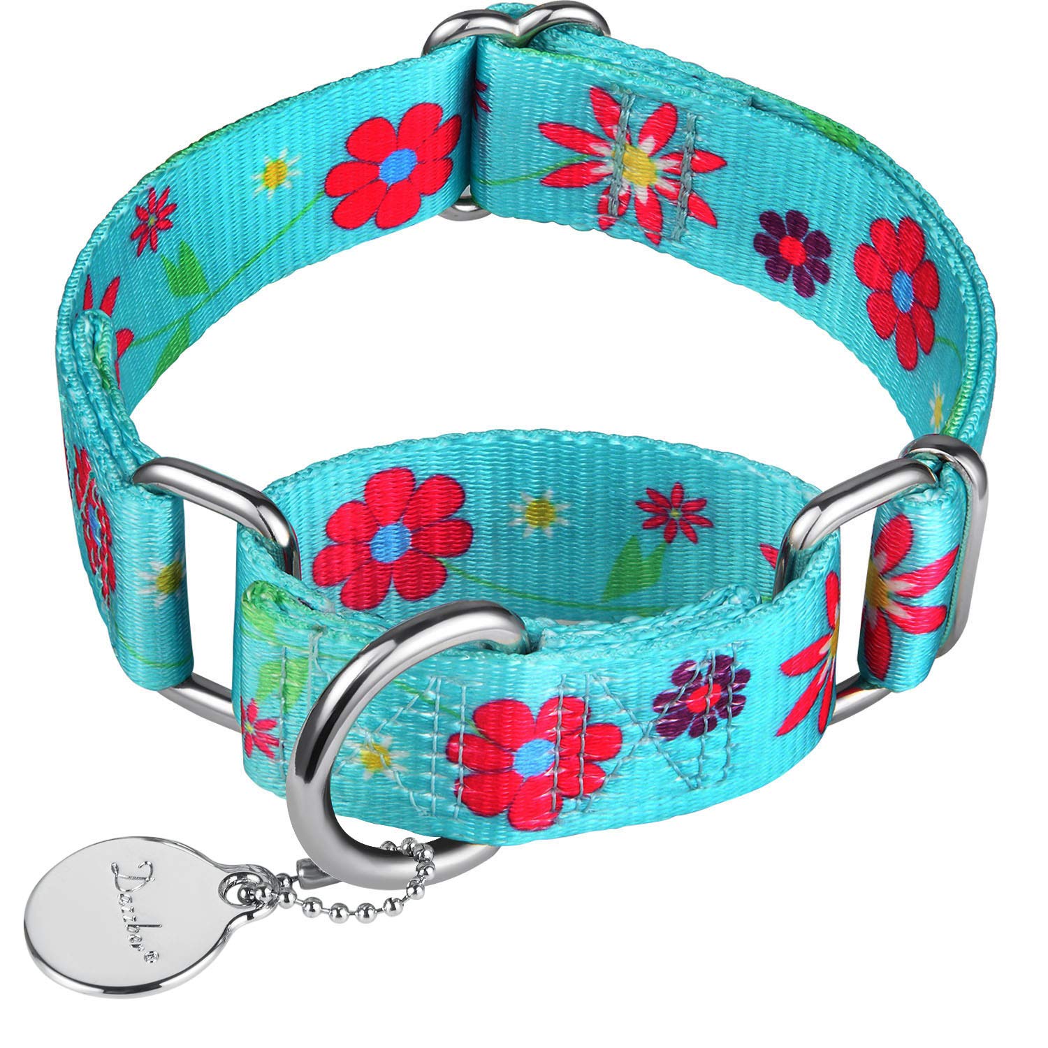 Dazzber Martingale Collar Floral Print Dog Collar - No Pull Pet Collar, Heavy Duty Adjustable Dog Collar, Medium, Neck 14 Inch -