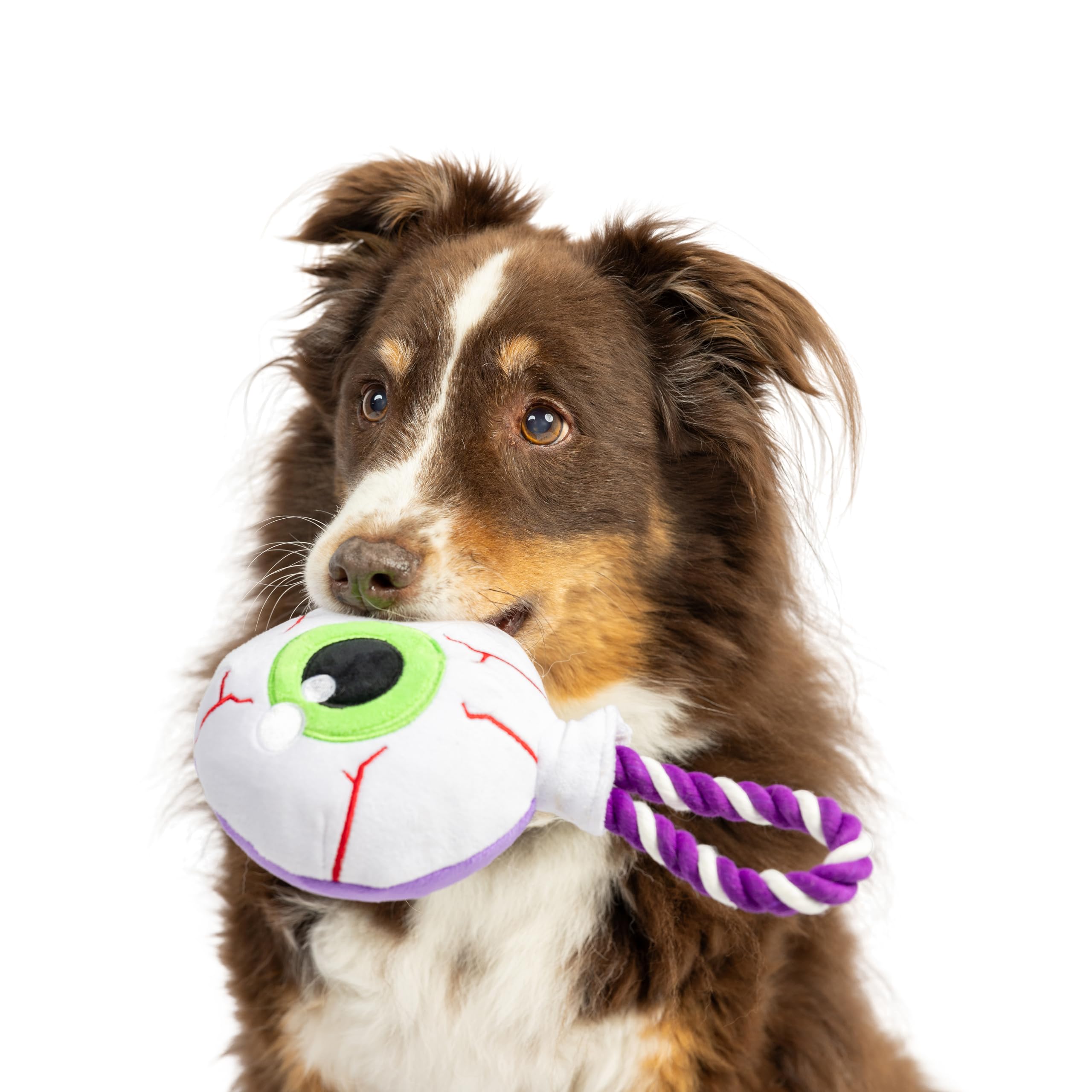 Huxley & Kent For Dogs | Eyeball Safety Pop | Halloween Fall Power Plush Dog Toy With Squeaker | Funny Dog Toy | Cute Dog Toy | H&K Squeaky Dog Toy