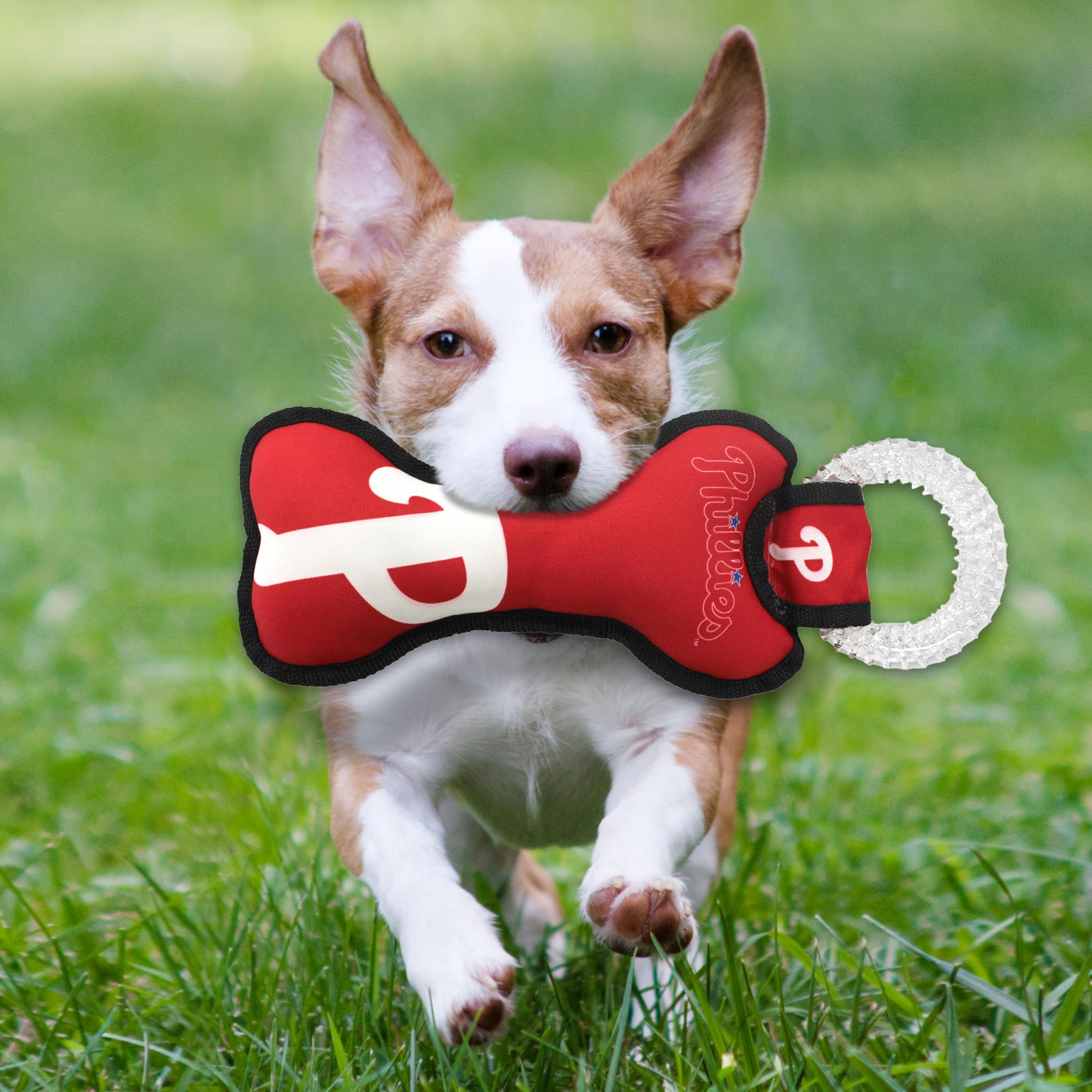 Mlb Philadelphia Phillies Bone Shaped Dental Dog Tug Toy With Squeaker. Tough Pet Toy For Healthy Fun, Teething, And Cleaning Pe