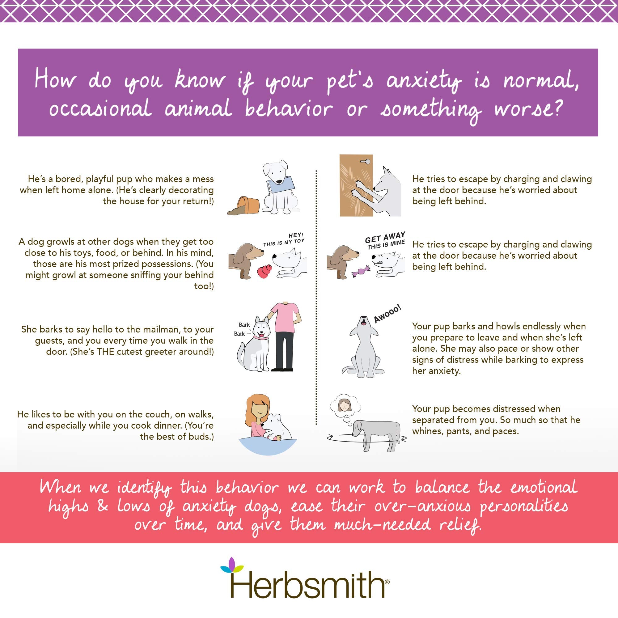 Herbsmith Calm Shen Herbal Blend for Dogs & Cats, 90 Tablets