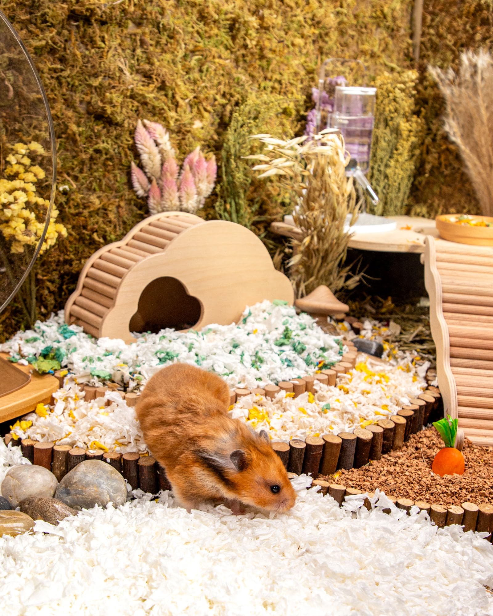 Niteangel Aspen Shaving Hamster Beddings for Syrian Dwarf Hamster Gerbil Mice Degu Rat Rabbit Bunny Guinea Pig Chinchilla Hedgeh