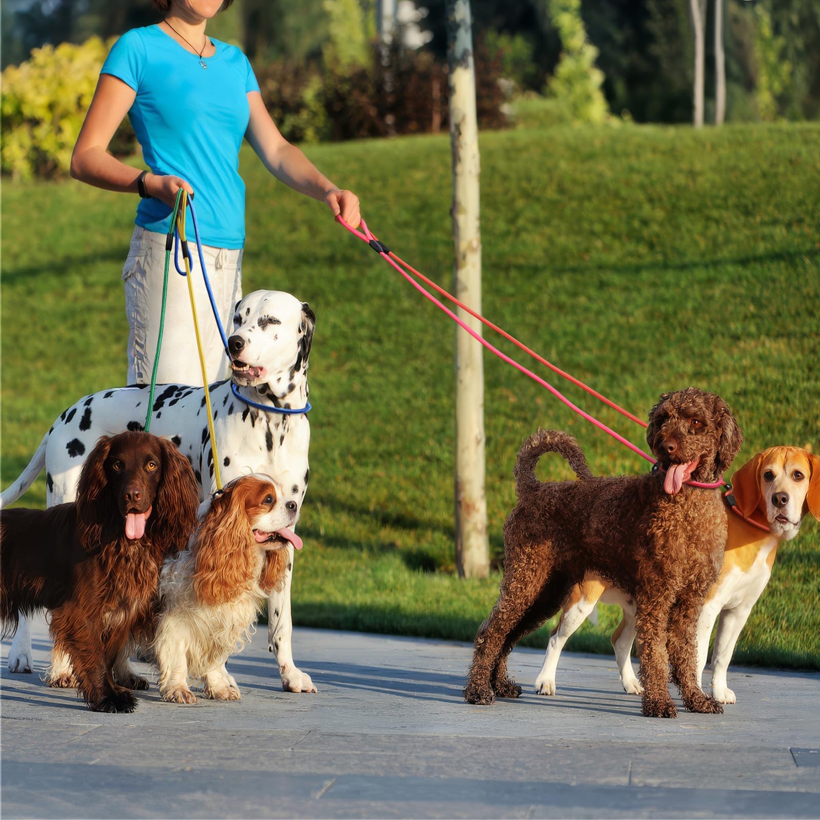 11 - Piece Set! Ultra - Strong Nylon Slip Lead Dog Leashes In 11 Stunning Colors - Ideal Training Leashes For All - Sized Dogs!