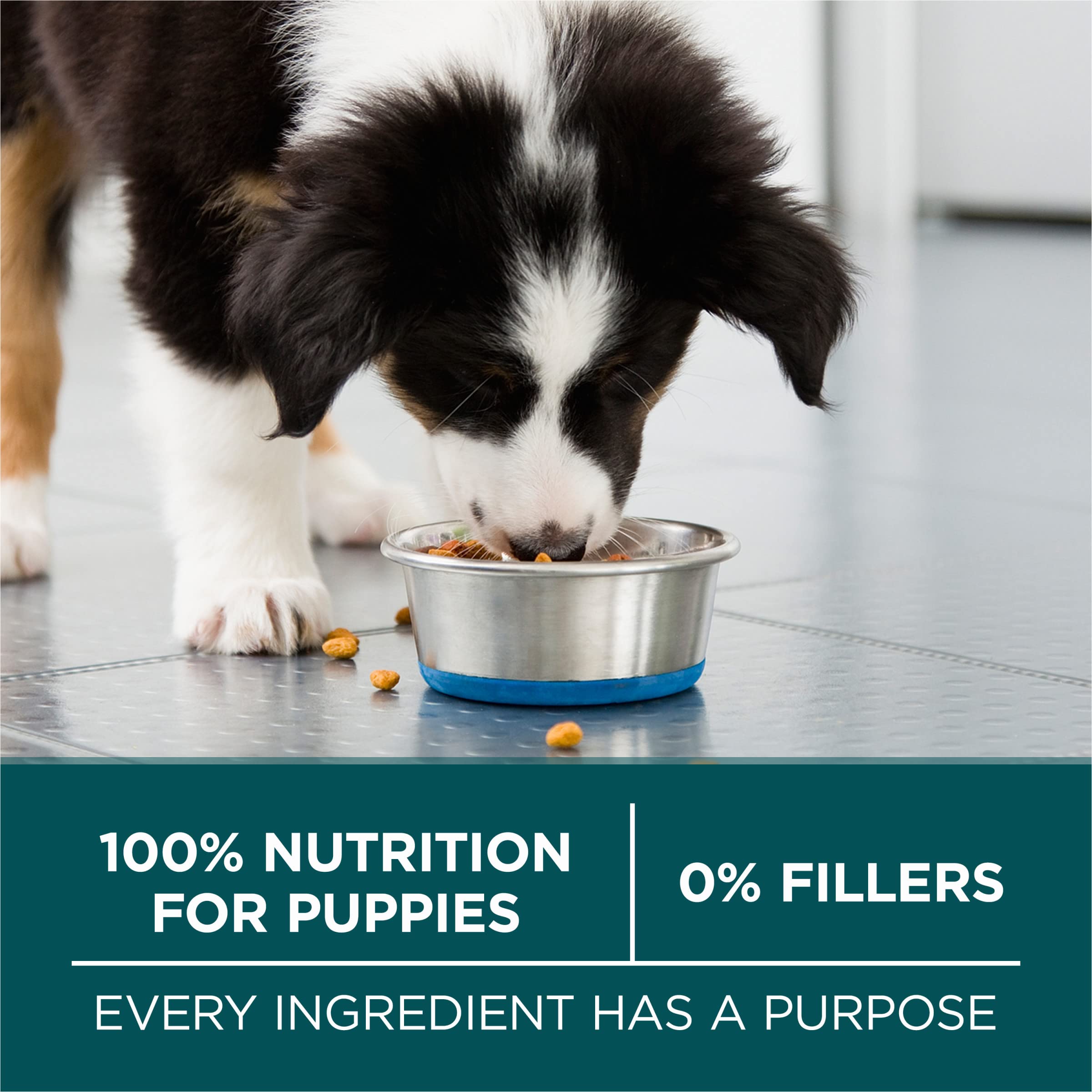 Purina ONE Plus Large Breed Puppy Food Dry Formula - 16.5 lb. Bag