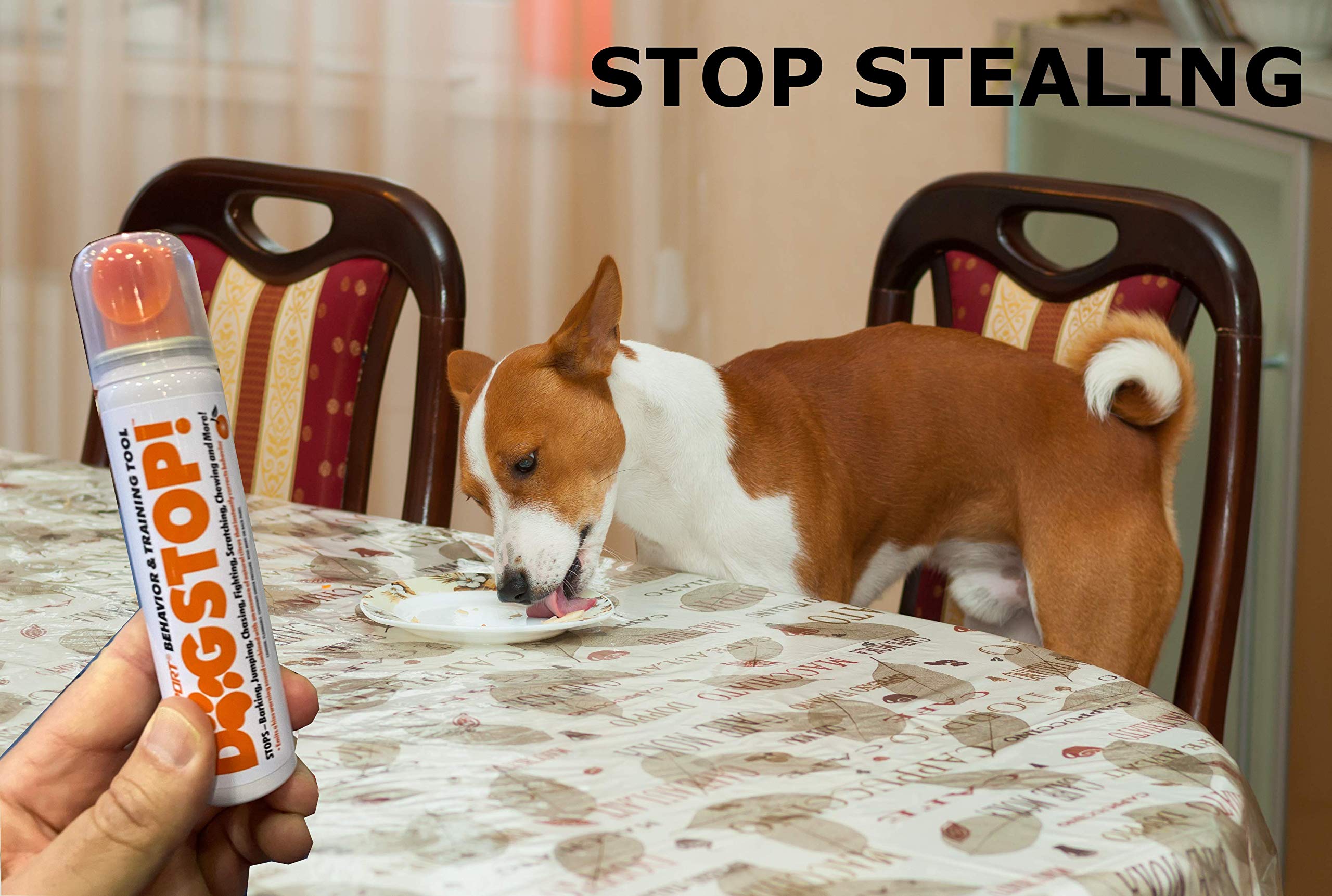 Safety-Sport Dog Stop! - Stop Barking, Jumping, Chasing, Fighting, Scratching, Chewing, Biting & More! Safe, Humane, Effective P