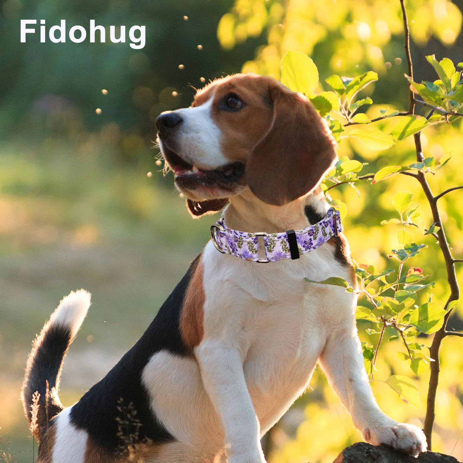 Fidohug Reflective Martingale Collar For Dogs With Quick Release Buckle Cute Girl Female Flower Dog Collars (Lavender Floral, Sm