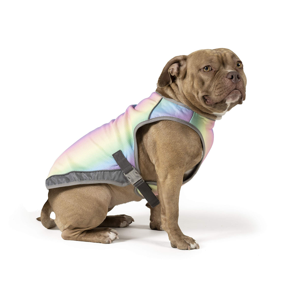 Canada Pooch Dog Cooling Vest - Evaporative Cooling Vest For Dogs With Breathable Mesh Material & Reflective Lining, Adjustable For Dogs 8 (7-9' Back Length), Rainbow