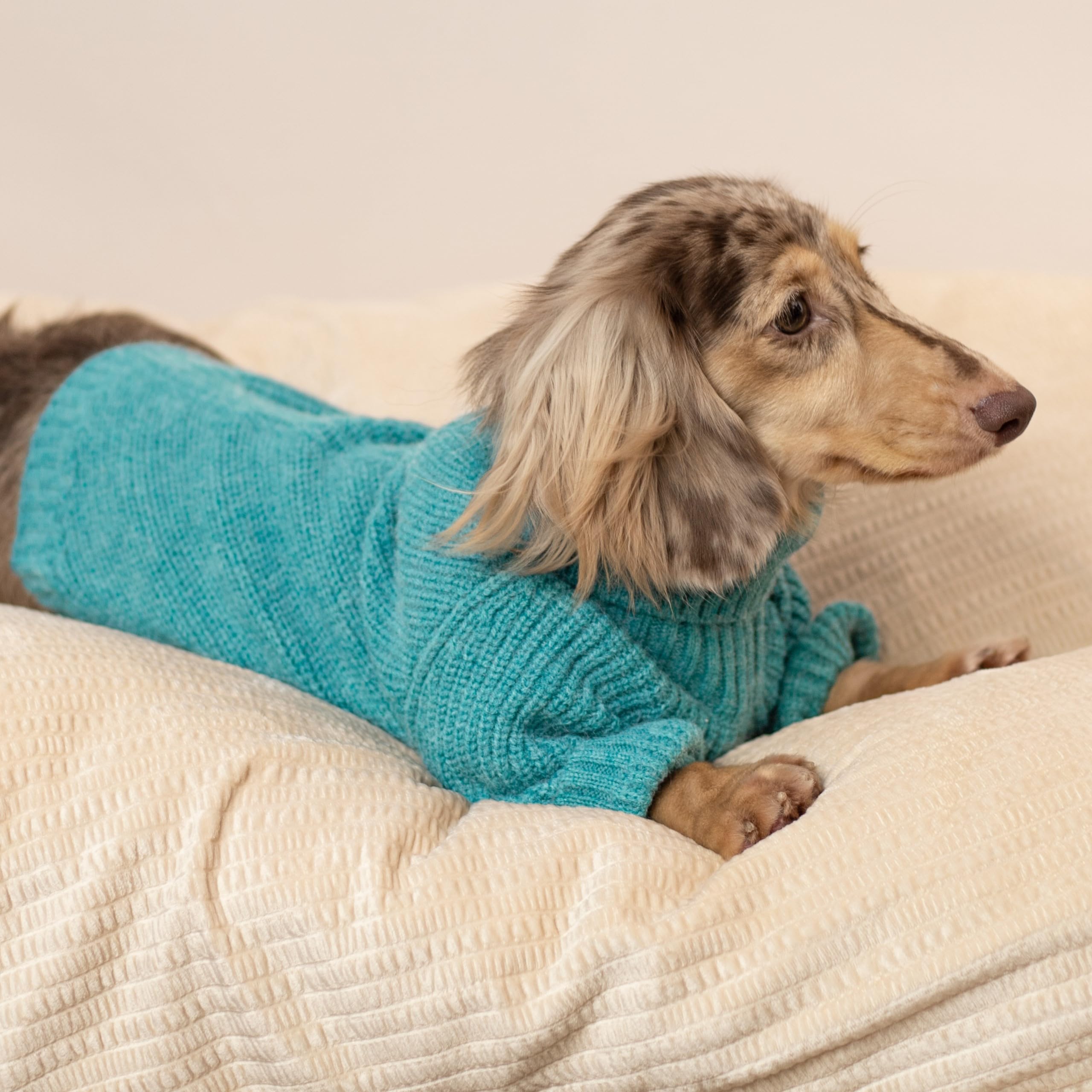 Fitwarm Turtleneck Dog Knitted Sweater, Thermal Dog Winter Clothes For Small Dogs Boy Girl, Dog Sweater Doggy Pullover Jumper, Pet Outfit, Teal Blue, Xxl