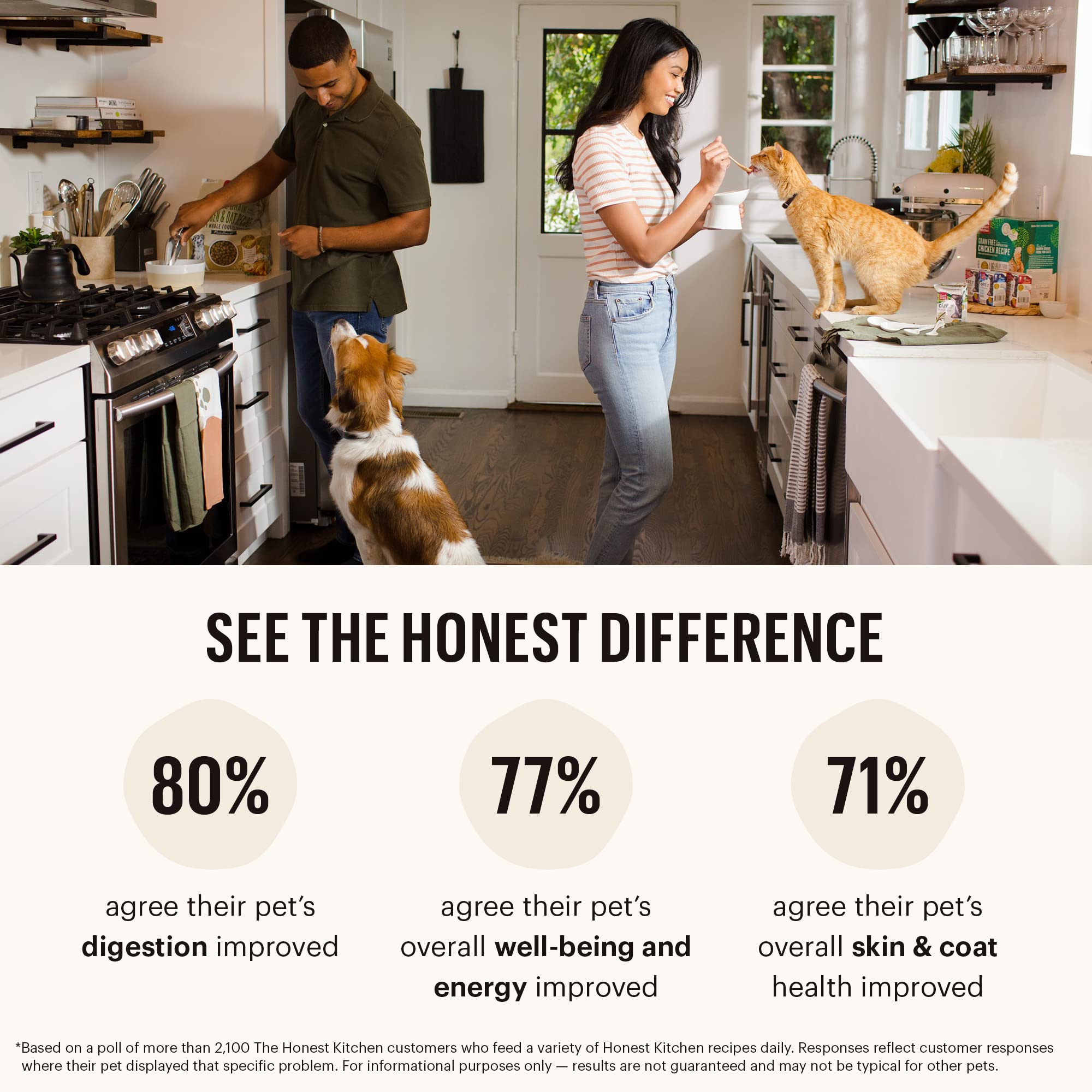 The Honest Kitchen One Pot Stews: Roasted Beef Stew with Kale, Sweet Potatoes & Carrots Wet Dog Food, 10.5 oz x6