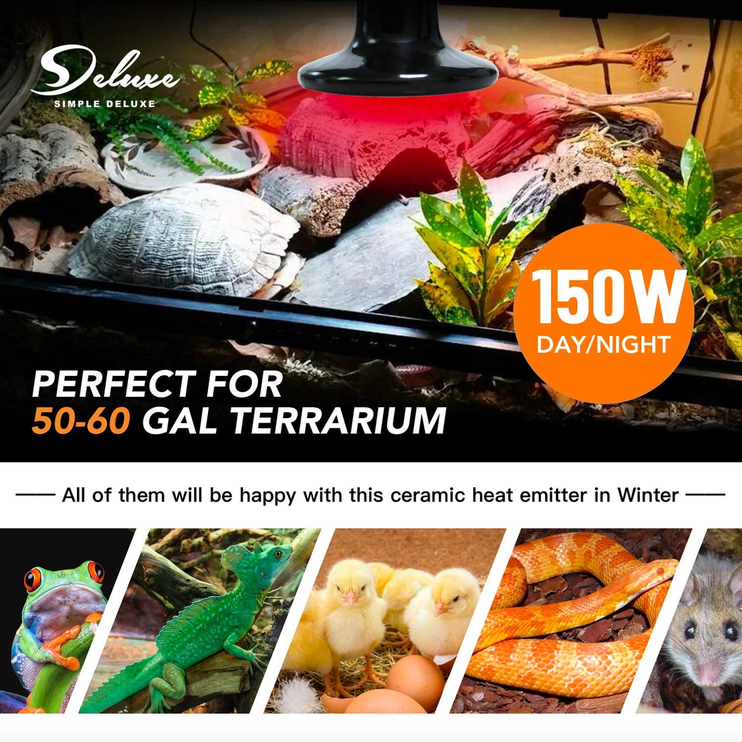 Simple Deluxe 150W Reptile Heat Bulb And 40-108 Degrees Fahrenheit Digital Thermostat Controller Included, For Amphibian Pet & Incubating Chicken, Black