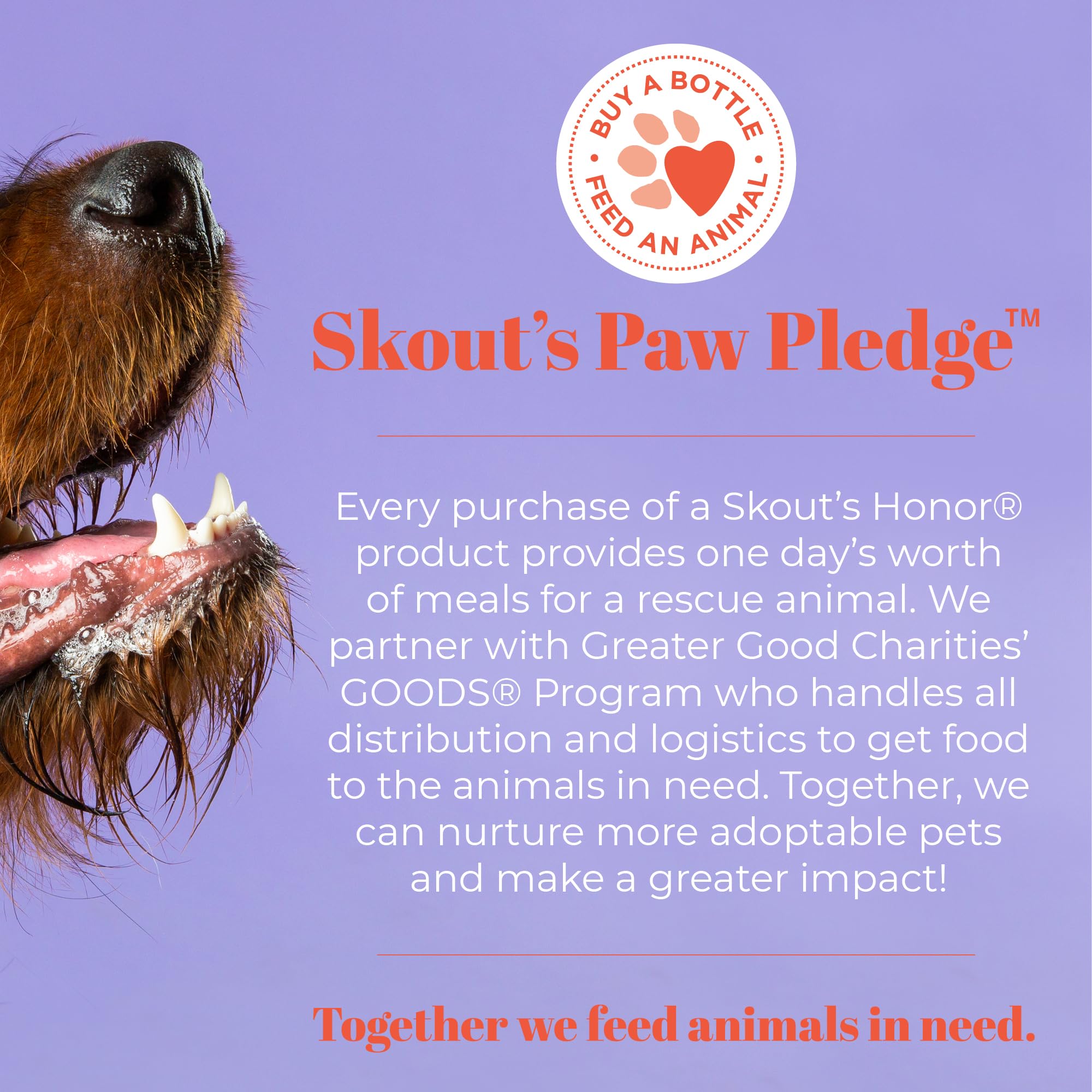 SKOUTS HONOR Prebiotic Pet Balm - 100% Natural and Made with Manuka Honey, Soothes Dry, Itchy Paws and Noses - Safe for Cats an