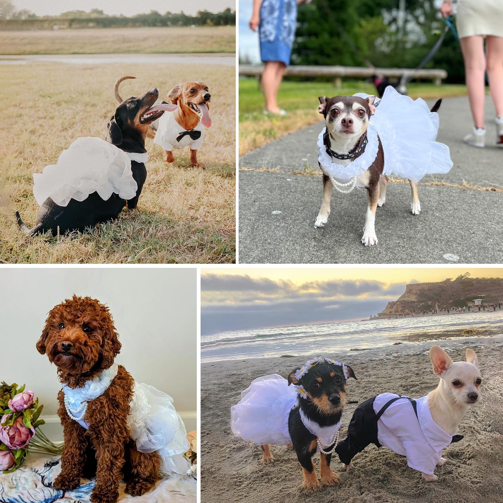 Shiaomin Dog Wedding Dress Bride Outfit With Pearl Necklace And Rose Pet Princess Dress Apparel For Puppy Dog Cat (X-Small)