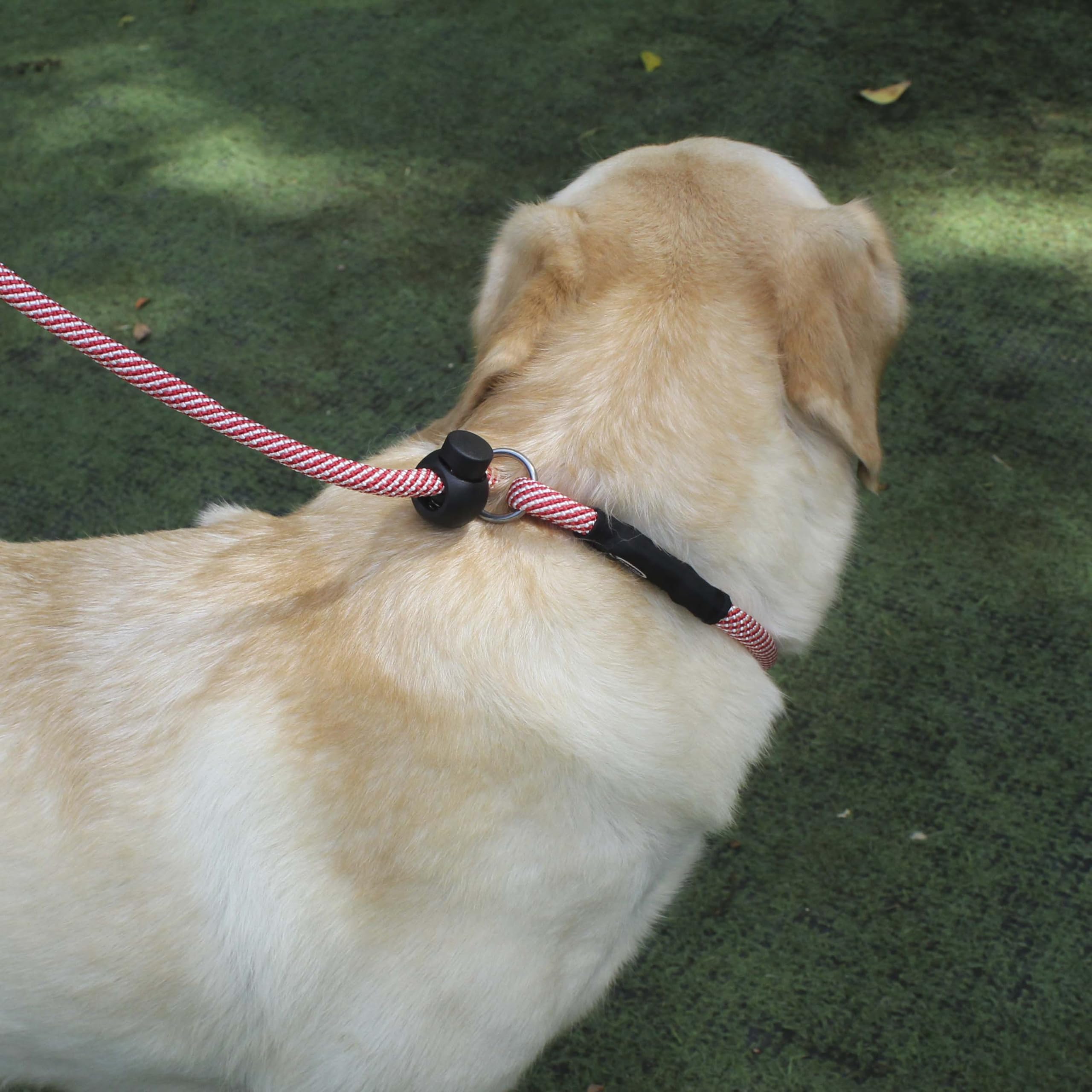 Hiado Slip Lead Dog Leash With Stopper Loop Rope Training No Pull For Small Medium Large Dogs 6Ft Red White