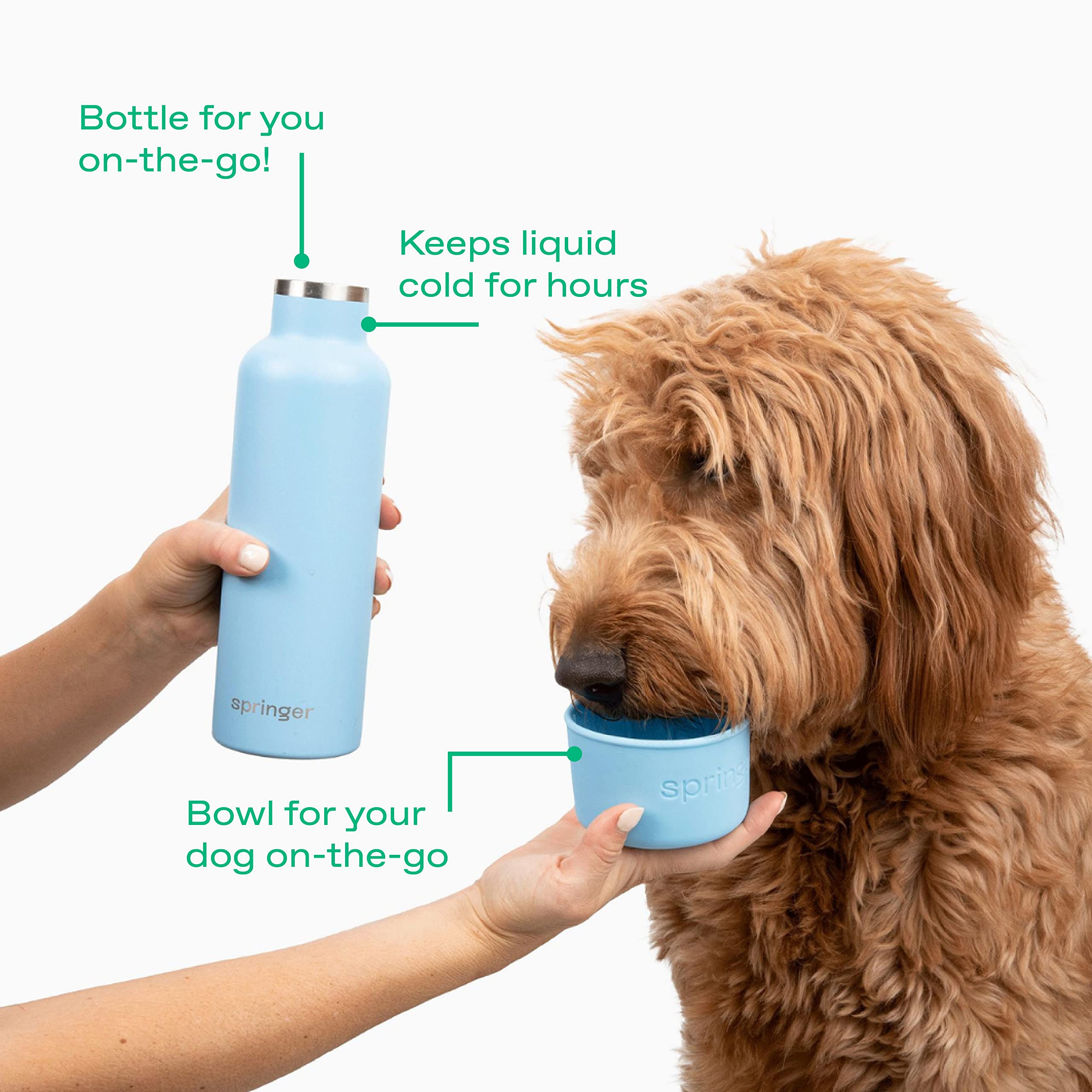 Springer Dog And Me Water Bottle, Stainless Steel Insluated Water Bottle, Keeps Water Cold For 12 Hours (Sky Blue)