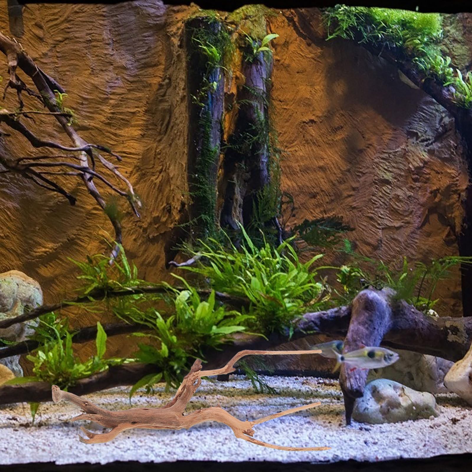 Mipcase 3 Pcs Driftwood for Aquarium, Spider Wood for Aquarium Aquarium Decorations Fish Tank Decorations Driftwood for Reptile