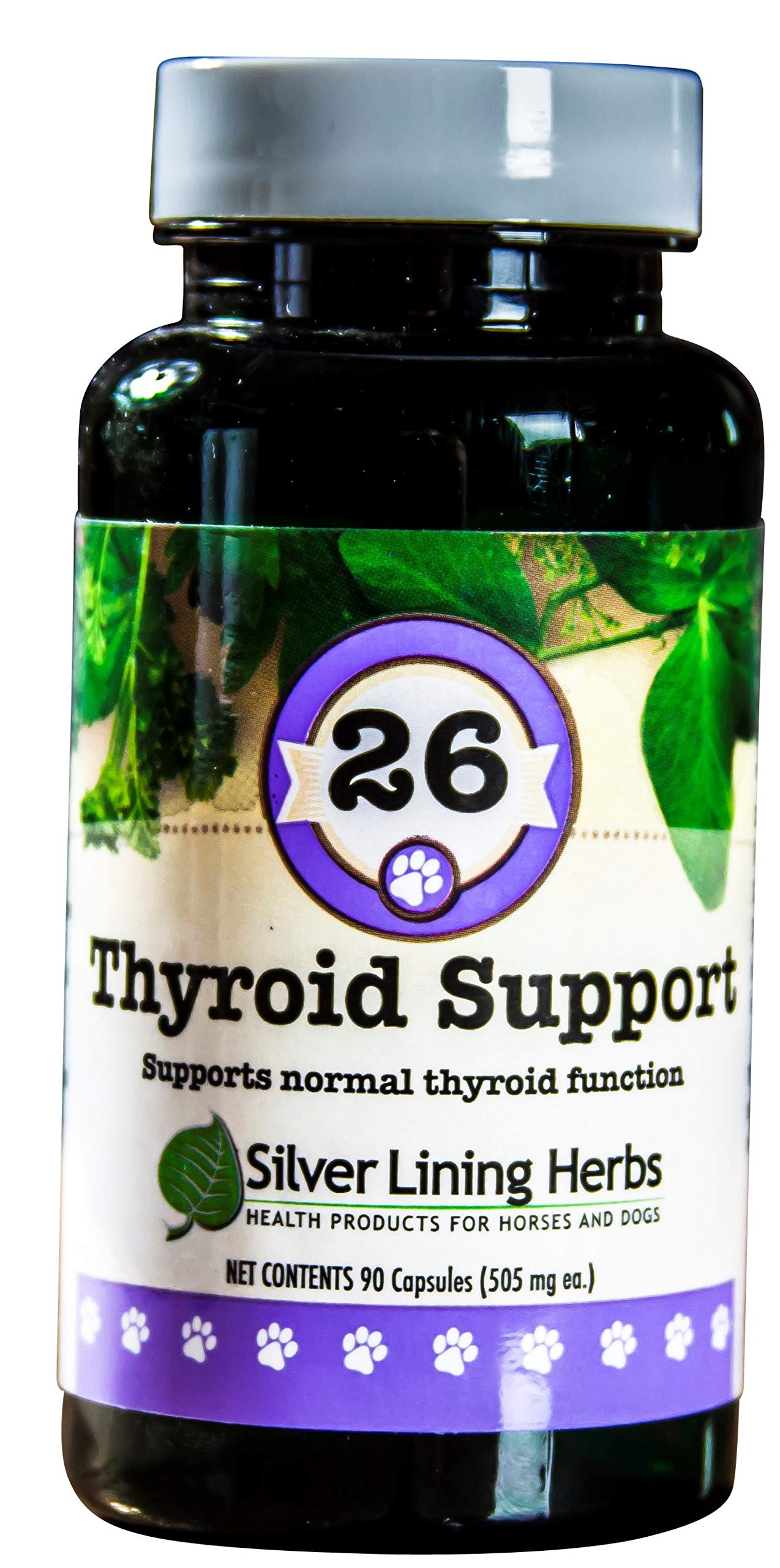 #26 THYROID