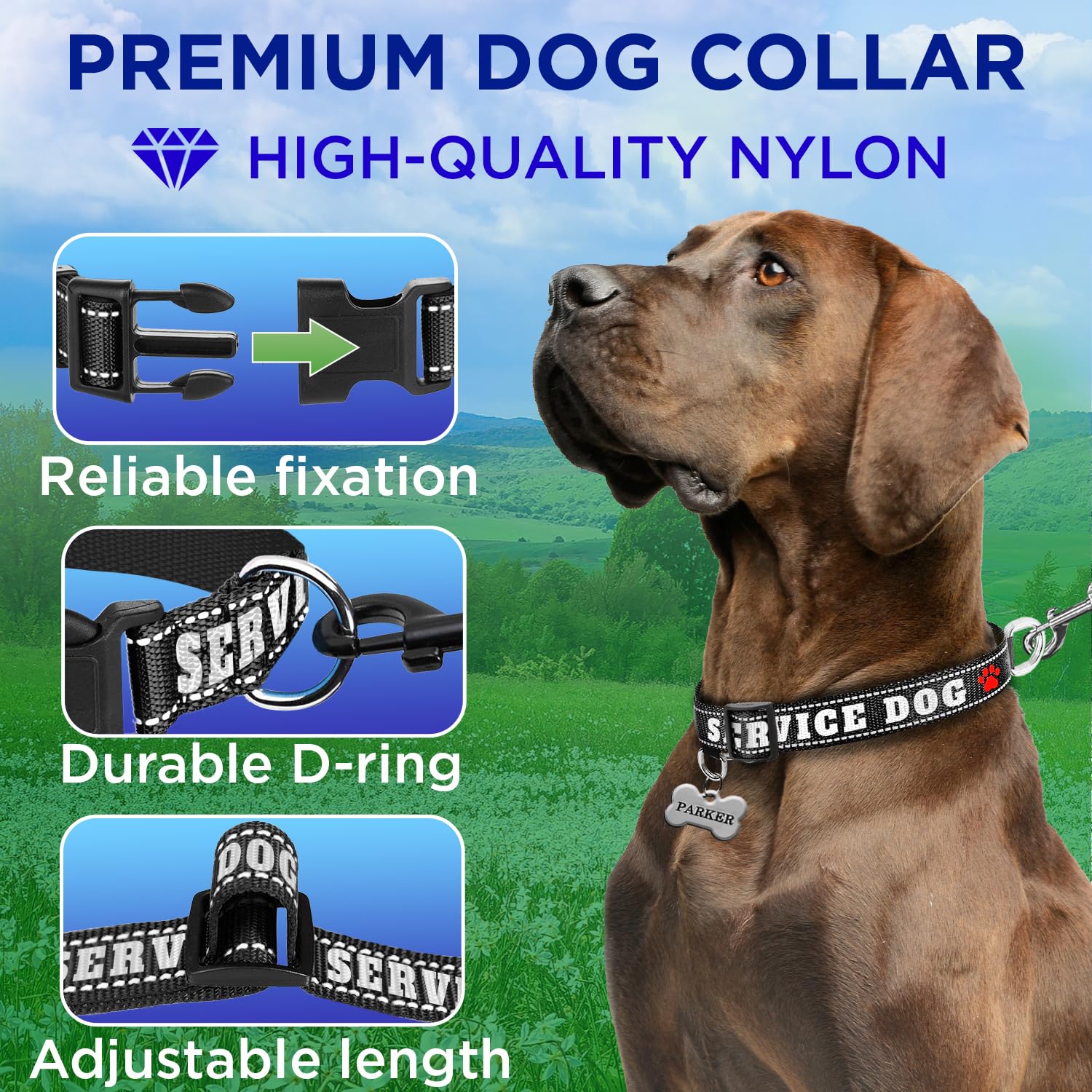 Teceum Reflective Pet Collar - Black - Service Dog - Xs - Basic Nylon Dog Collar - Quick Release Buckle - Fits Small, Medium And