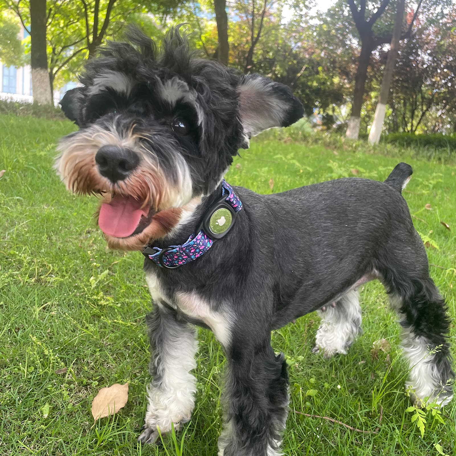 Mr.Chubbyface Spring Summer Dog Collar With Apple Airtag Holder Flamingos Dog Collar For Small Medium Large Boy Girl Dogs