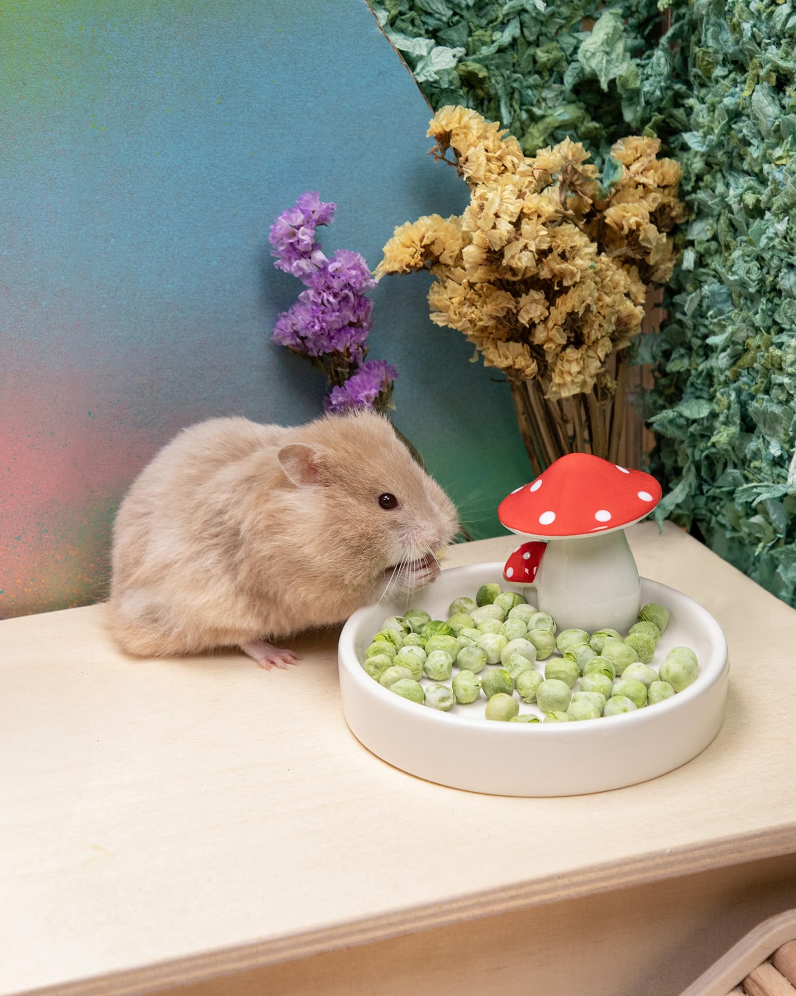 Niteangel Hamster Snack & Treats Toy - Small Animal Natural Treat for Dwarf Syrian Robo Hamsters Gerbils Mice Lemmings Degus or