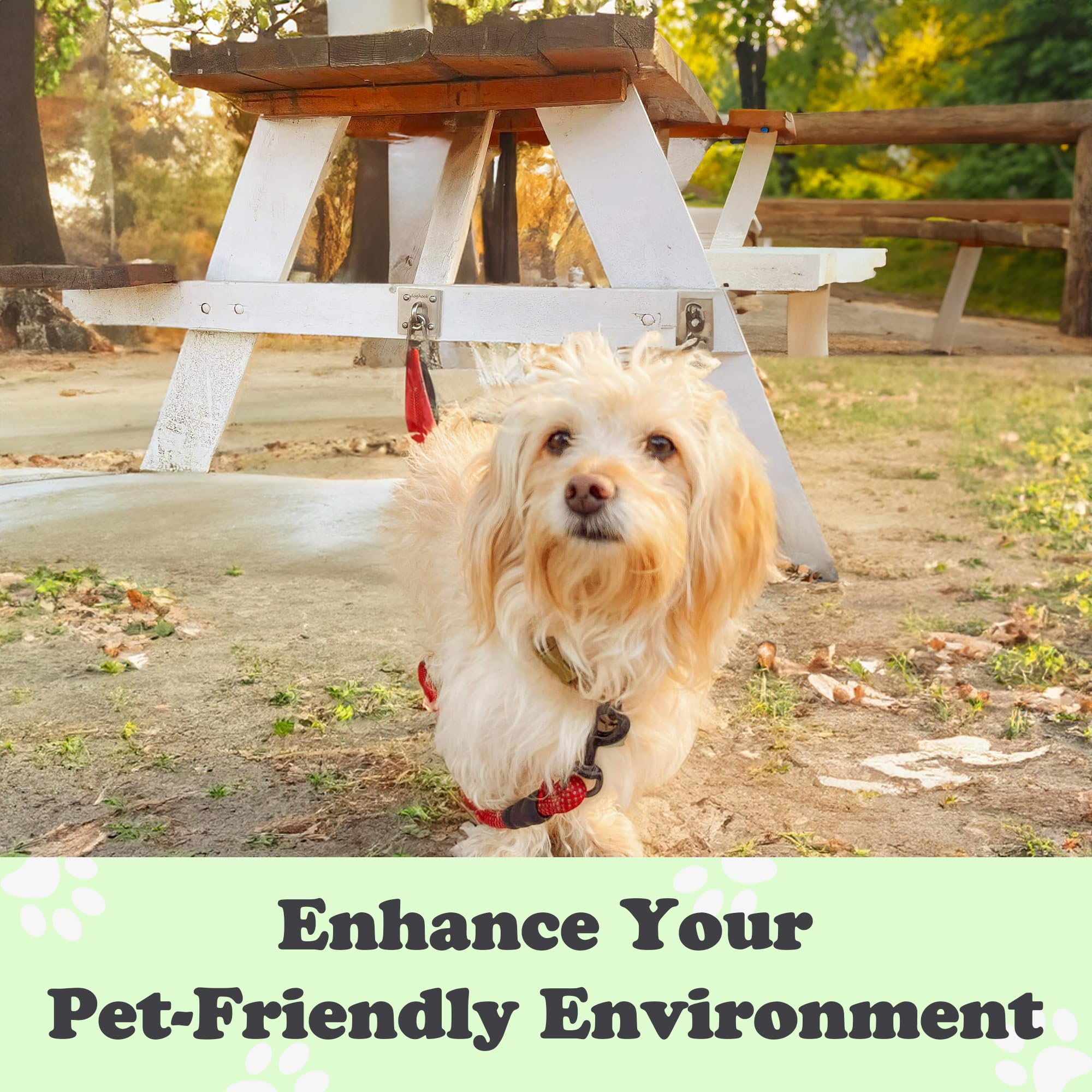 Canine Hitch- Secure Dog Leash Parking Wall Large Hook With Clip 6 Pack - Tie Out Stainless Steel & Abs Mounting Plate For Stren