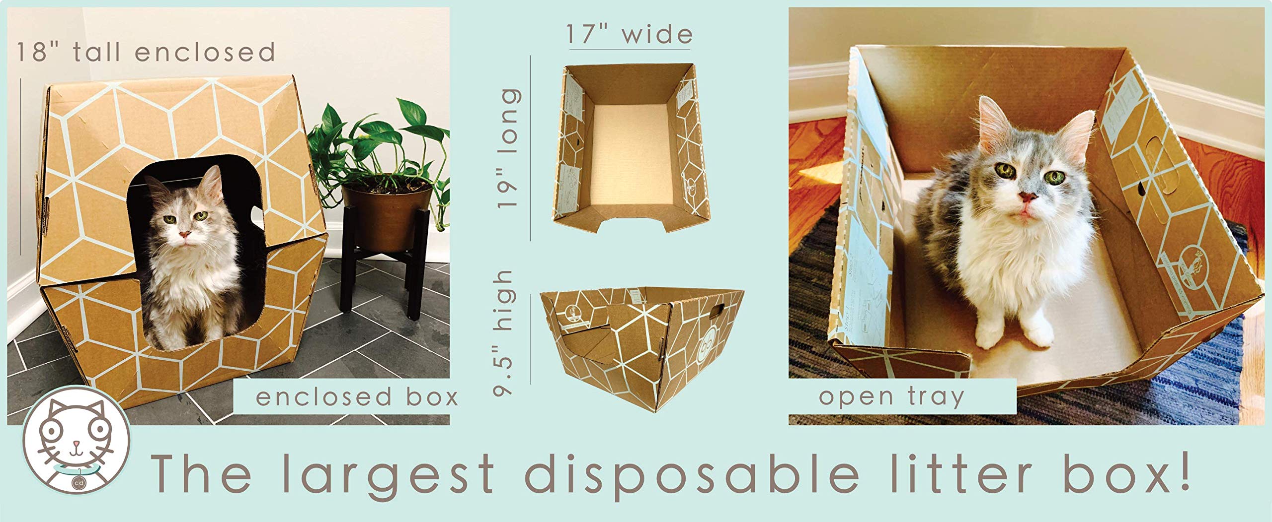 Cats Desire Disposable Litter Box 15 Trays First Patented Tallest Disposable Litter Box Low Entry 19'' Lx17 Wx8.5 Per Tray17 Int