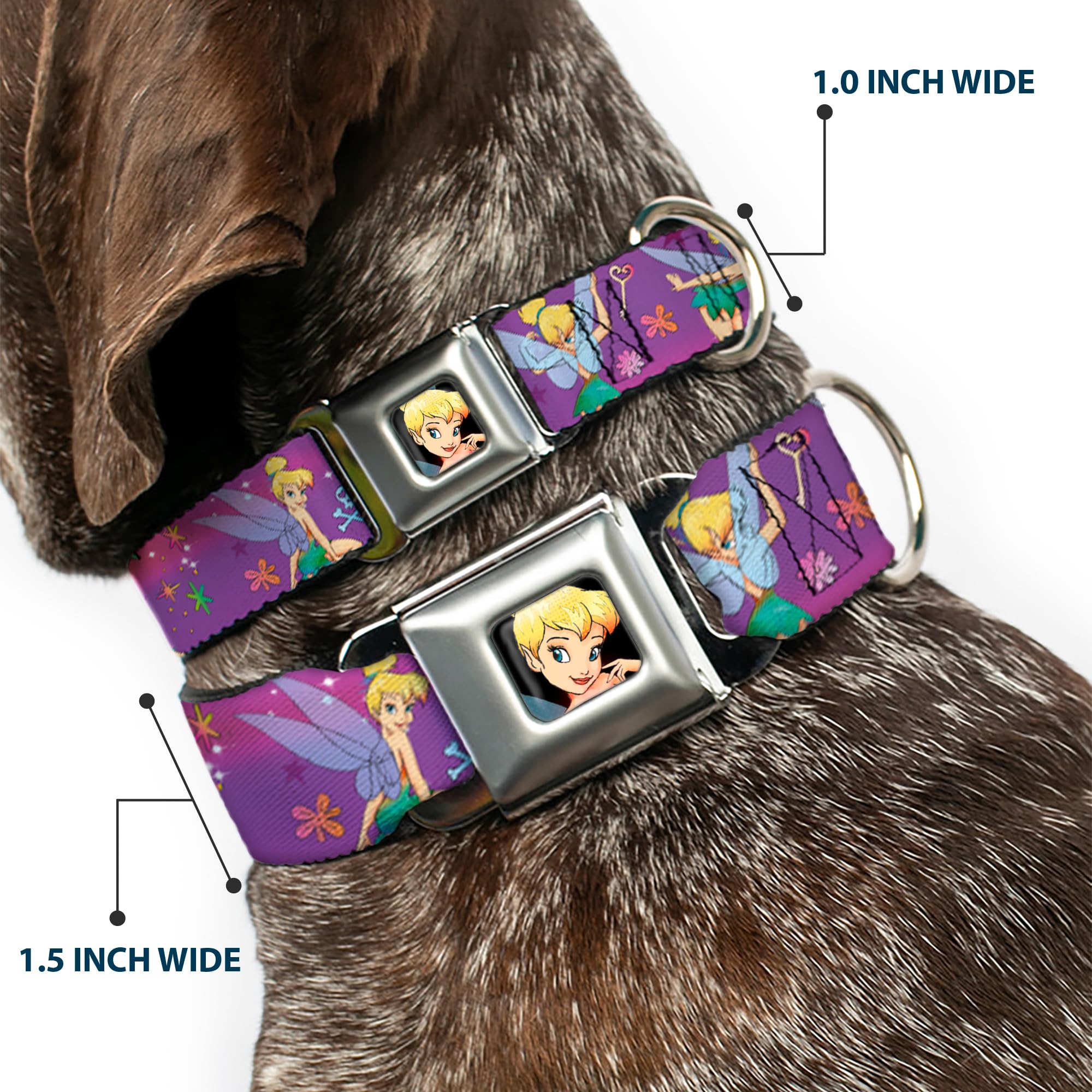Dog Collar Seatbelt Buckle Tinker Bell Poses Flowers Stars Skull Purple 18 To 32 Inches 1.5 Inch Wide