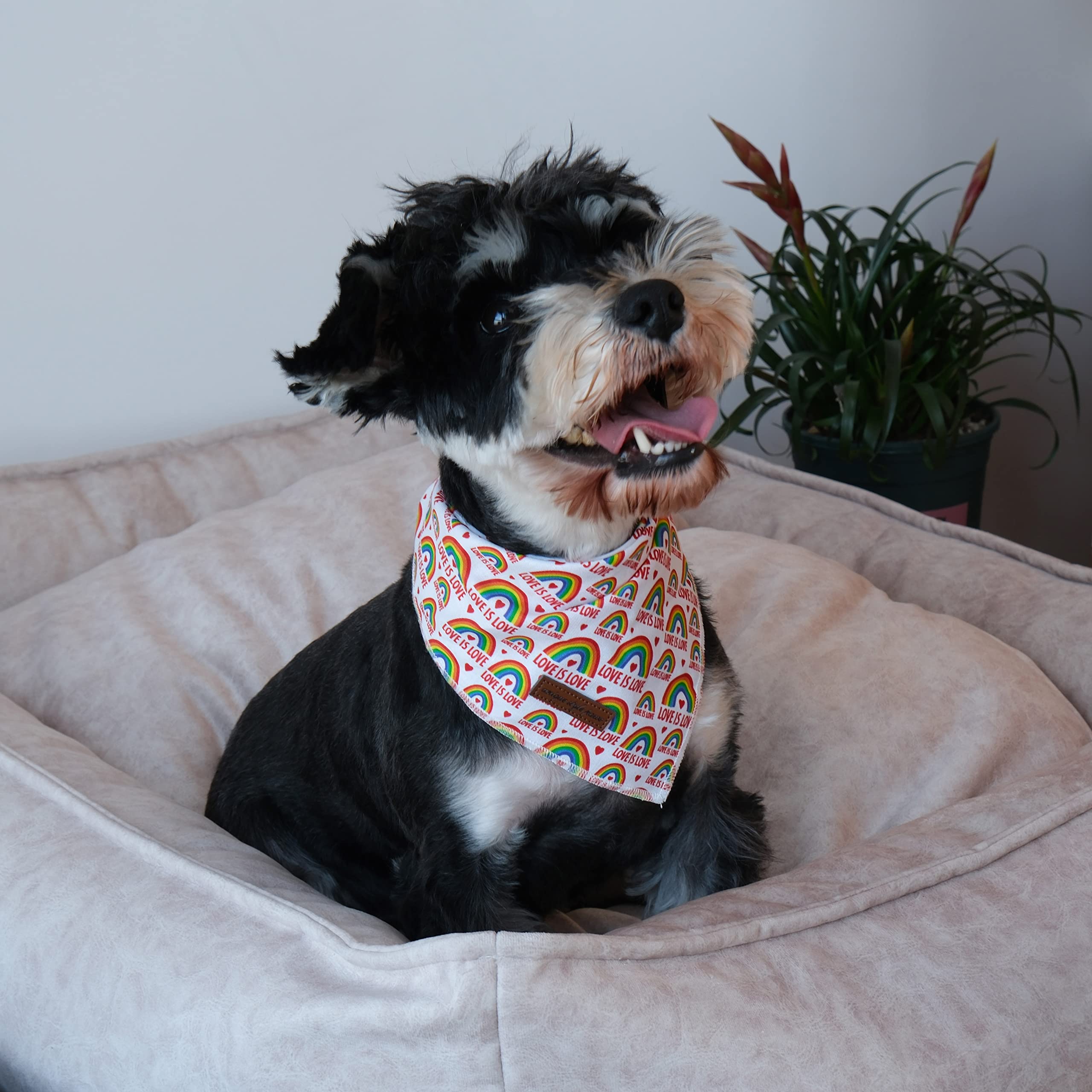 Unique Style Paws Pride Day Rainbow Dog Bandana, Love Is Love Best For Small Medium Large Boys Girls Dogs