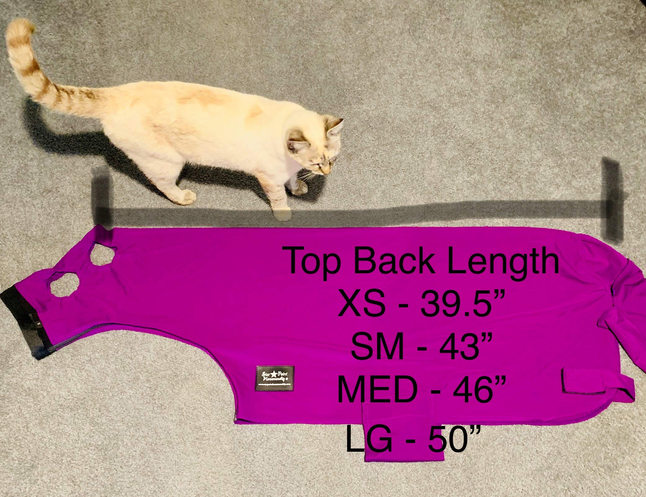 Star Point Horsemanship Miniature Horse Lycra Body Suit (Large 34-38, Royal Blue)