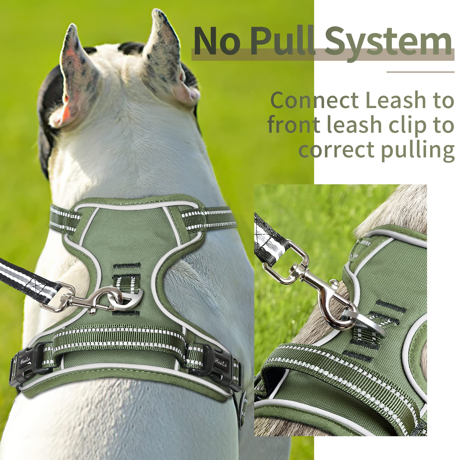 HEELE Dog Harness No Pull Adjustable Padded Reflective for Small Medium Large Dogs, XL, Green, Model: Harnais Chien
