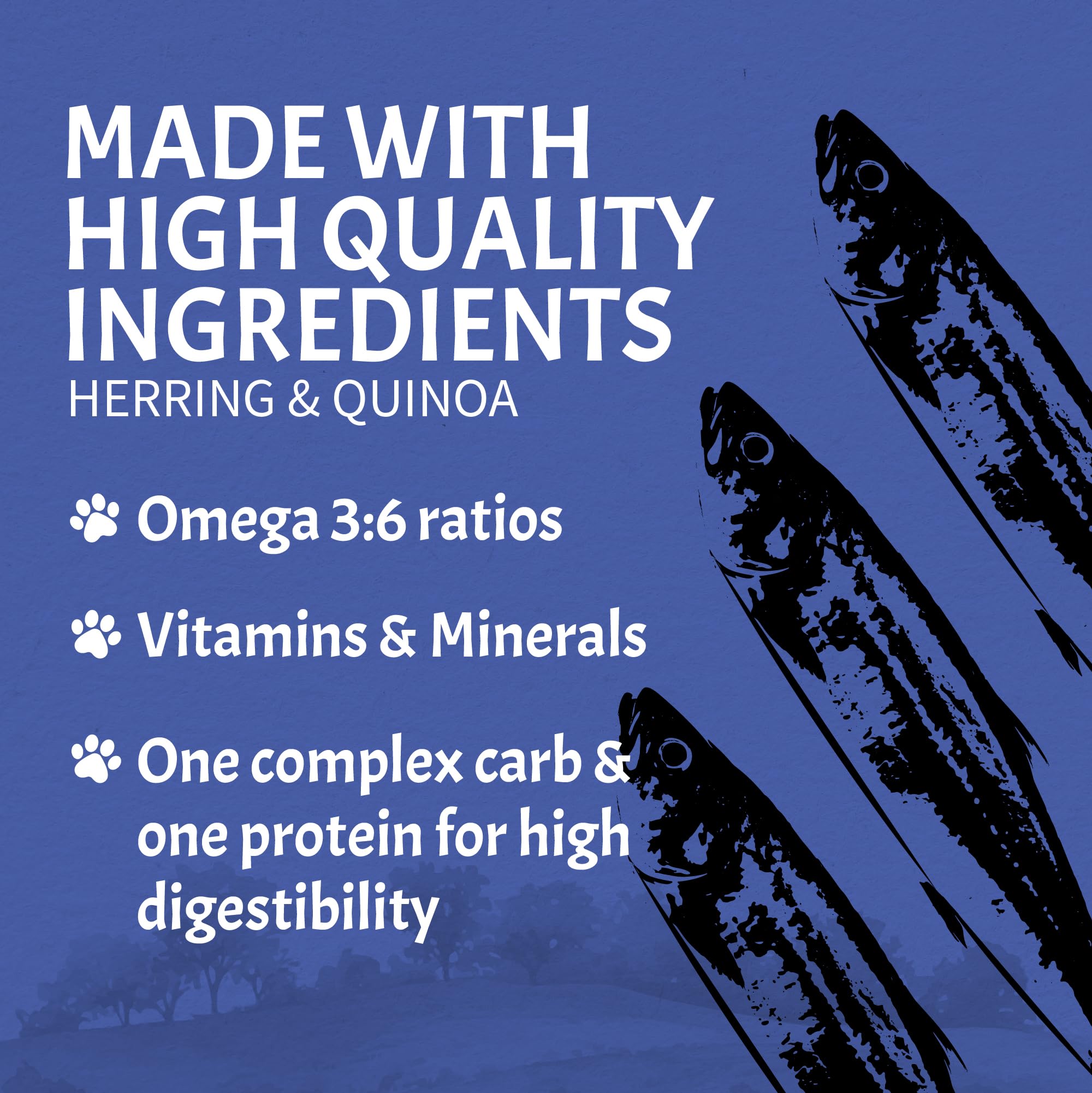 Canine Caviar - Wild Ocean: Herring & Teff Alkaline Dry Dog Food, Limited Ingredients, Gluten-Free, Based on Science & Research,