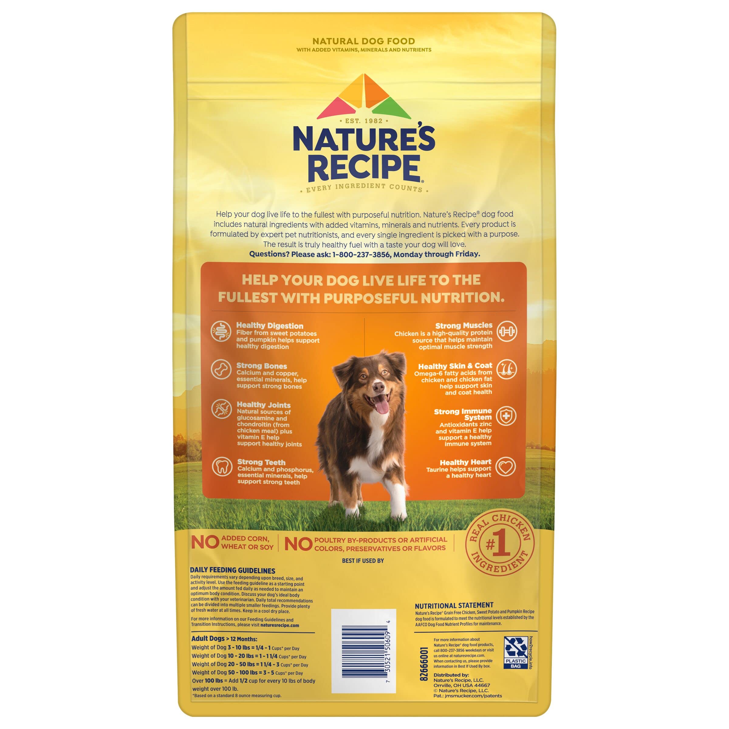 NatureS Recipe Grain Free Chicken, Sweet Potato & Pumpkin Recipe Dry Dog Food, 4 Lb. Bag